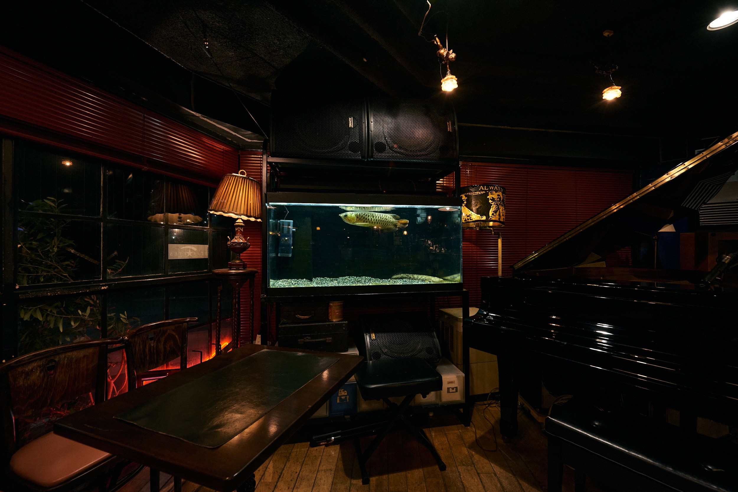 The Music Lovers. MT