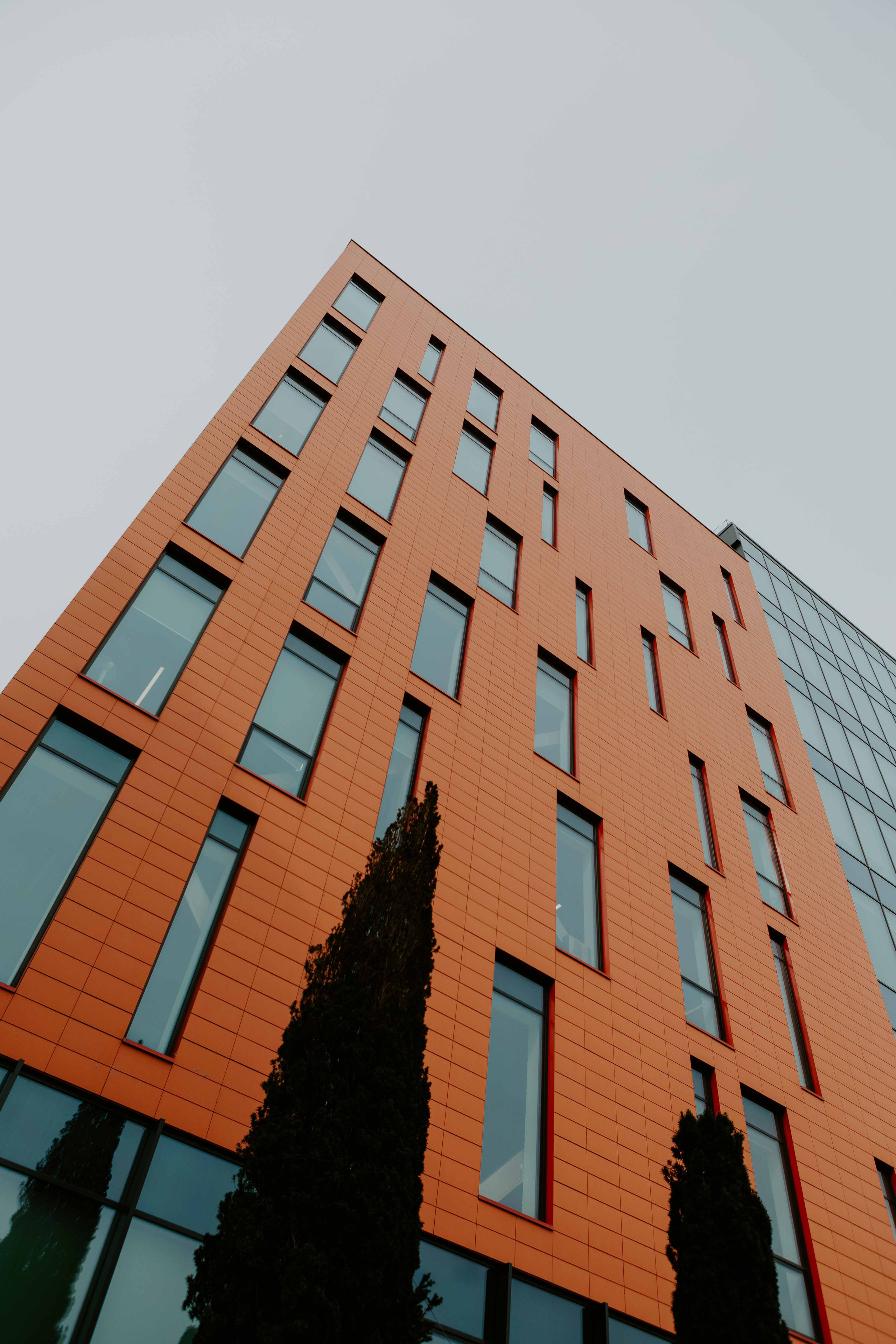 O alta viziune. Φωτογράφος και βιντεογράφος γάμου