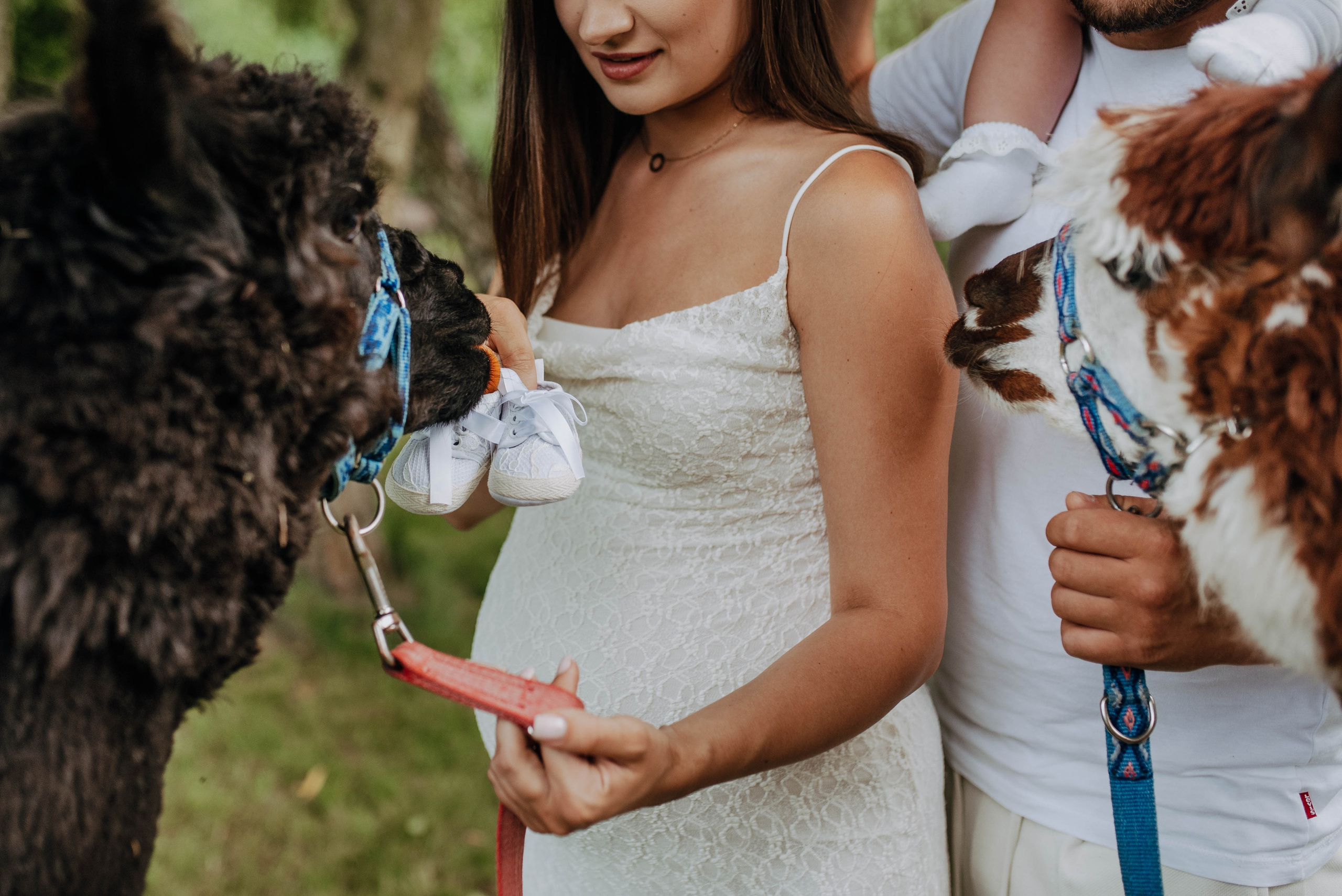 Dominika Strachacka Fotografia | Fotograf ślubny i rodzinny Opole Lubelskie Lublin