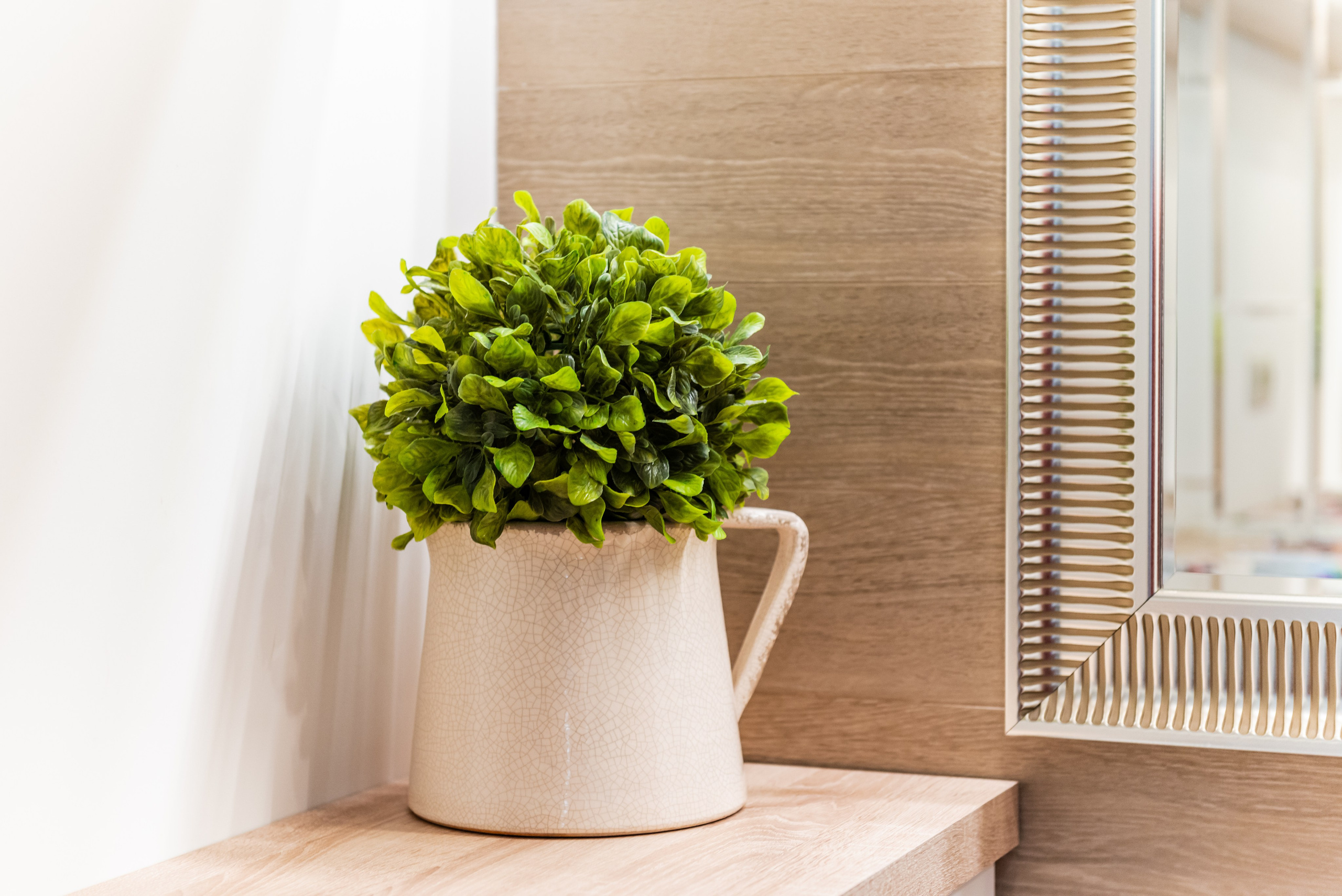 Салон красоты Империя цвета. ФОТОГРАФ МЕКСИКА КИНТАНА-РОО