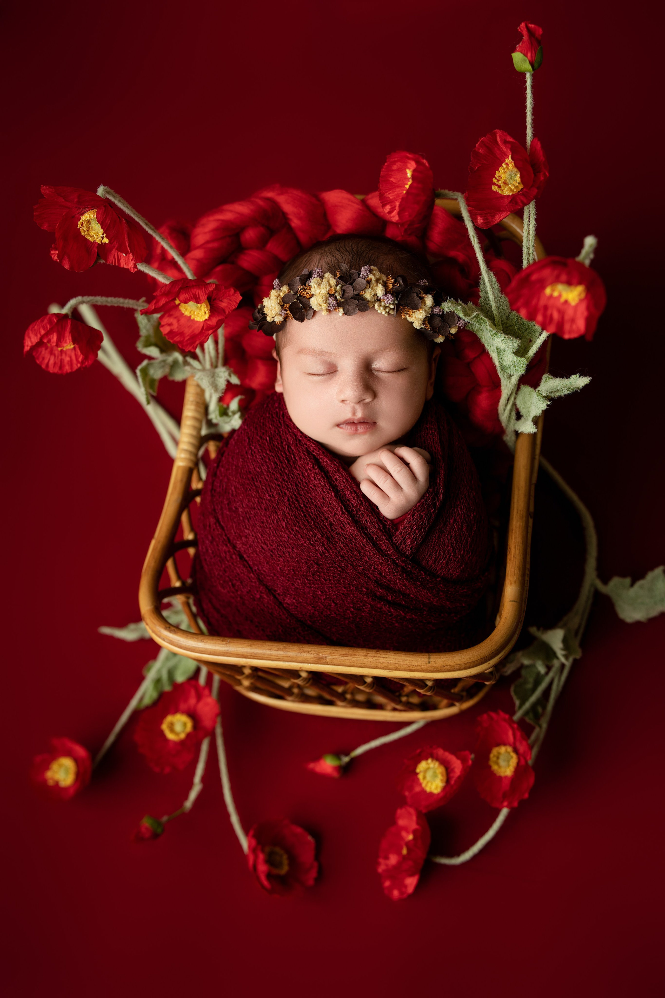 Naissance. Photographer in Paris