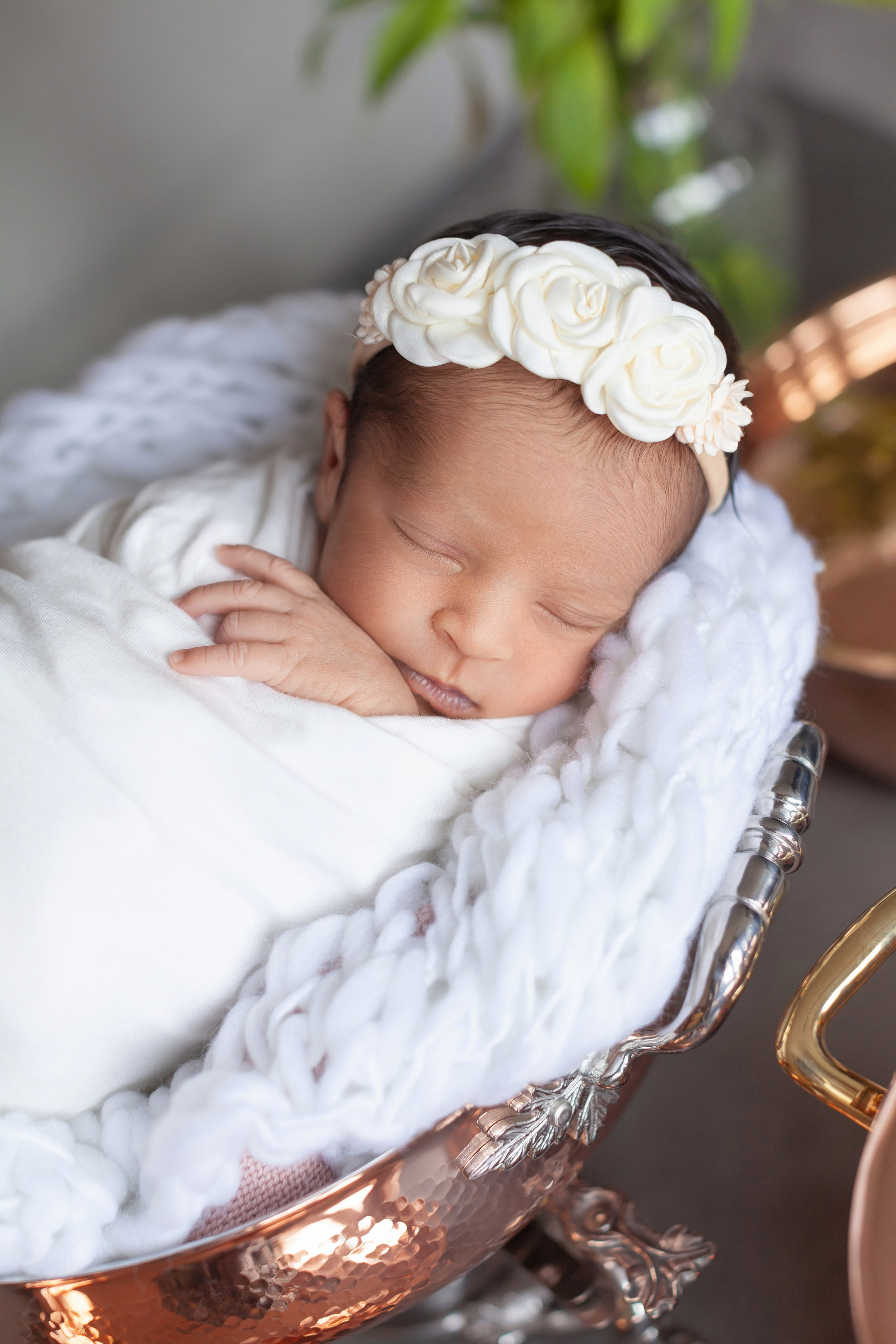 Services. Marina Pravda Photography San Francisco Bay Area