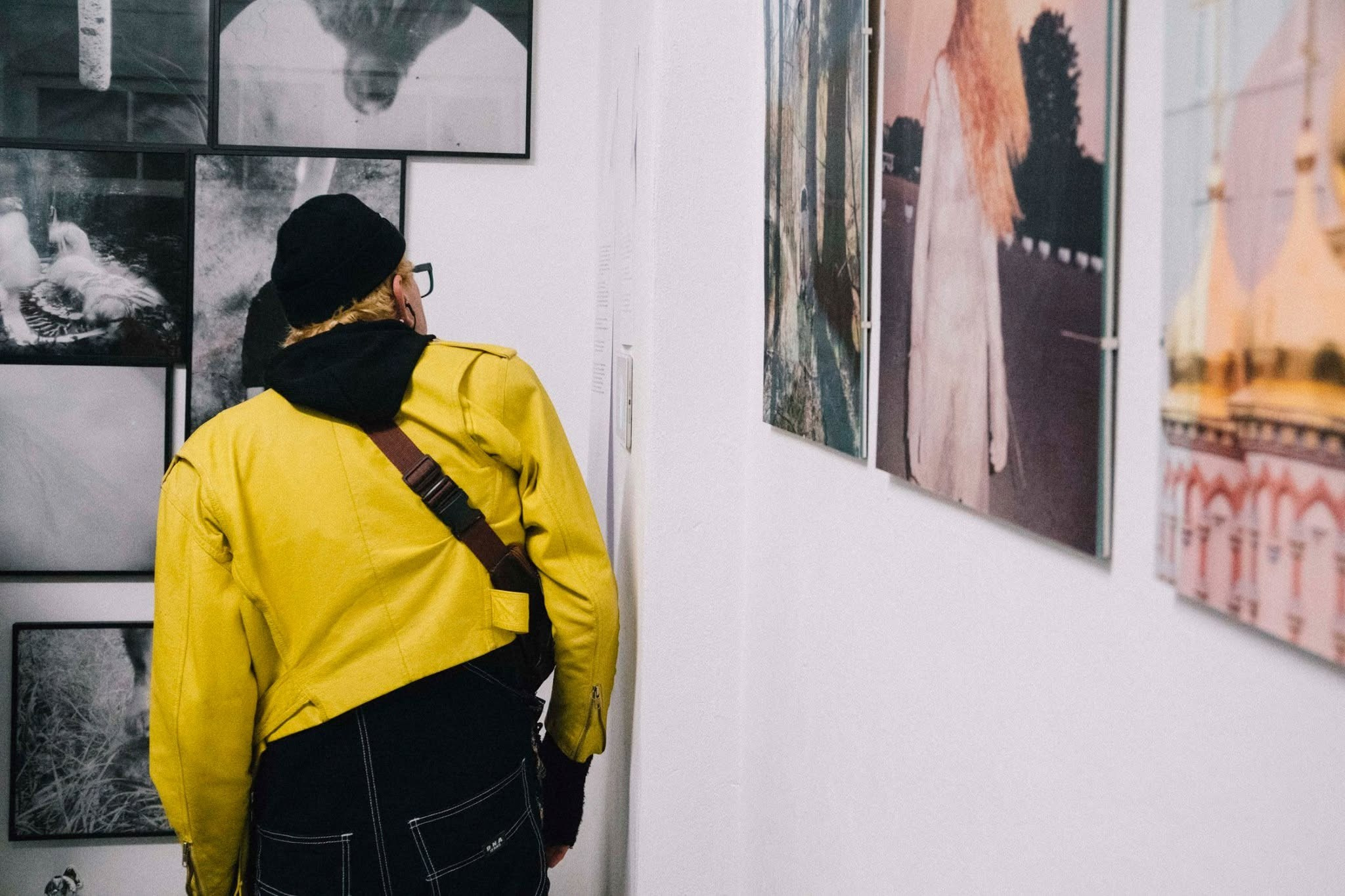 Exhibitions. Sasha Chaika