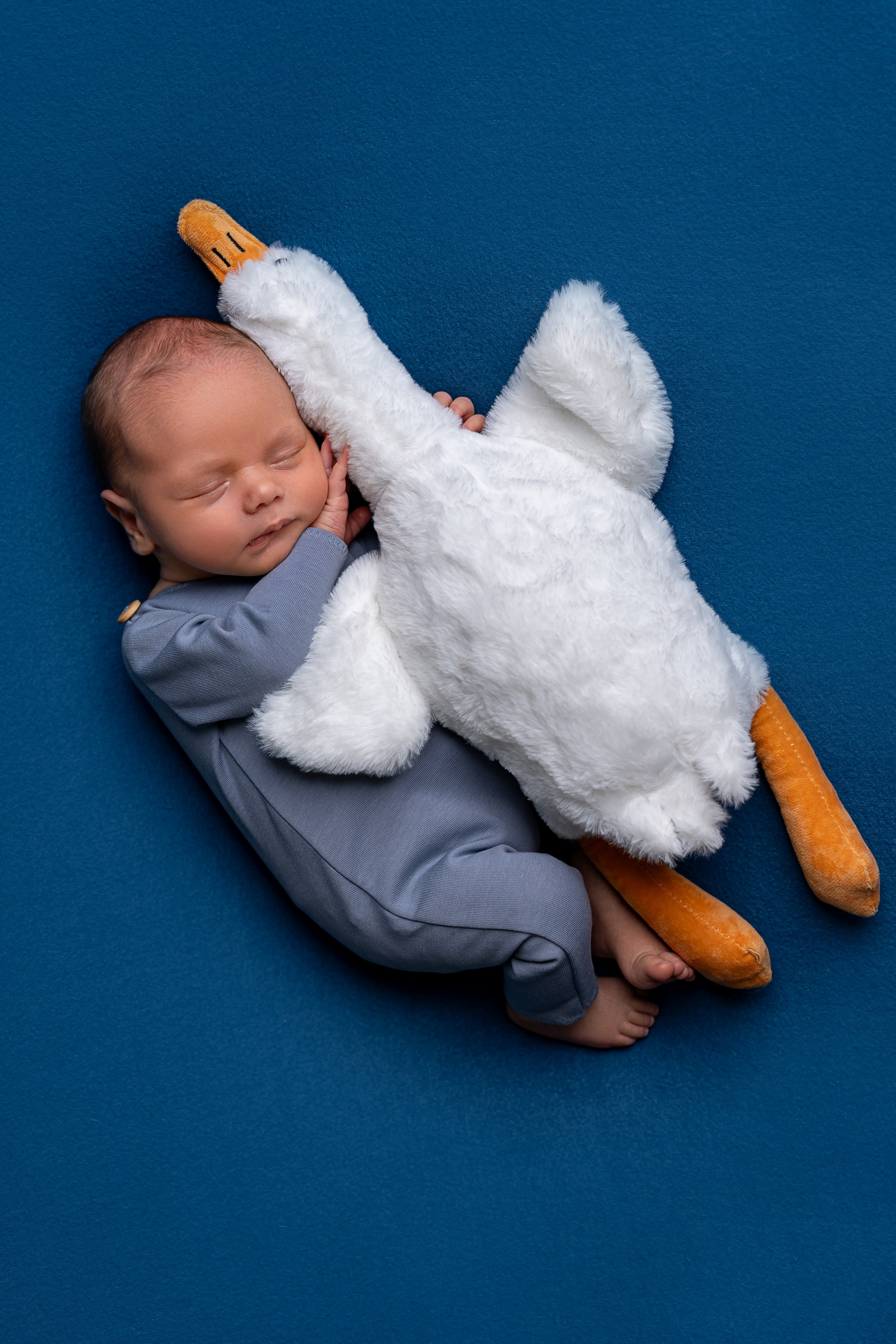 Neugeborenenfotos in Berlin – Studio oder bei Ihnen zu Hause