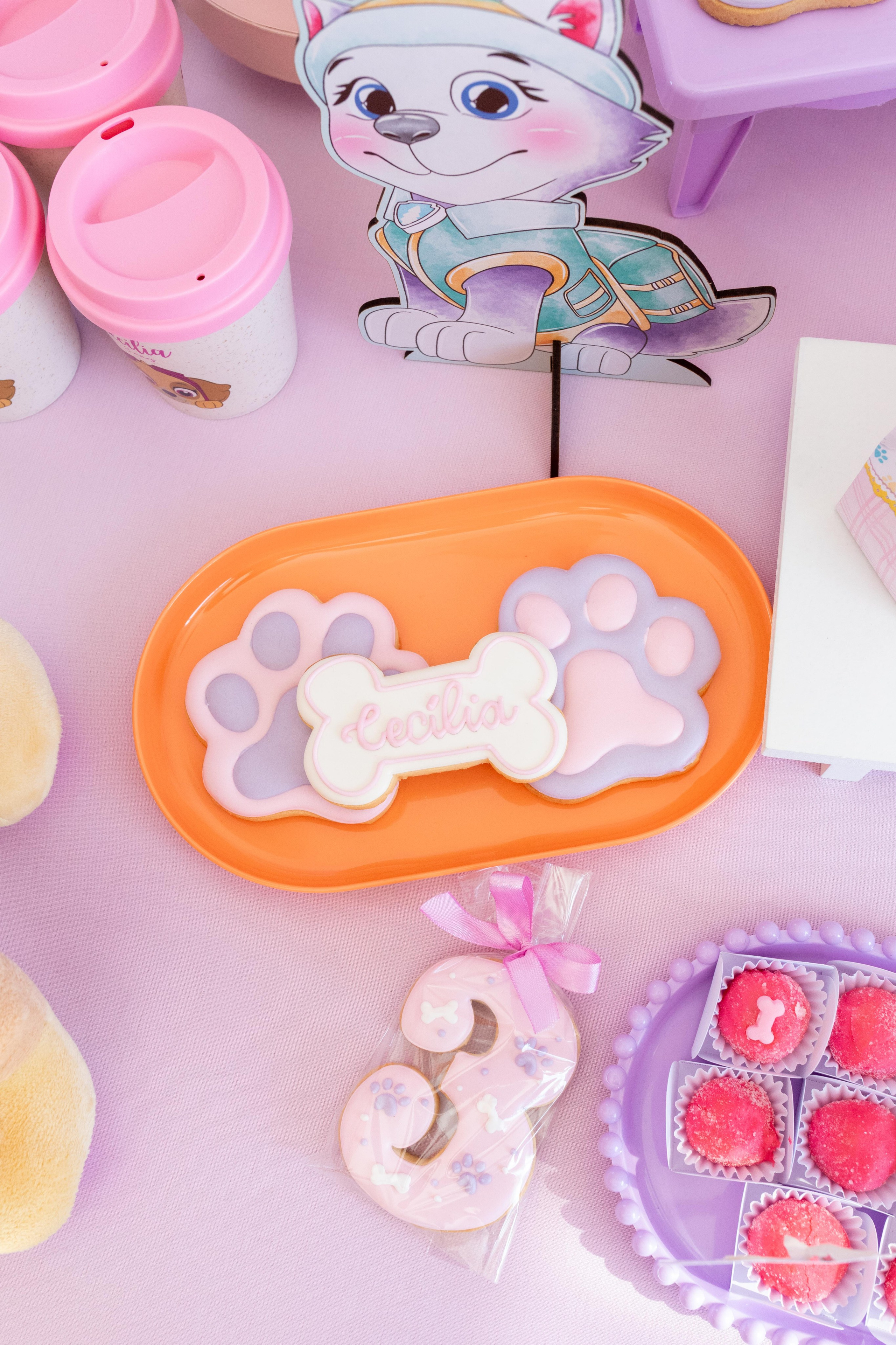 Fotografia profissional de doces e detalhes de festa infantil em Joinville - Lenofotografia