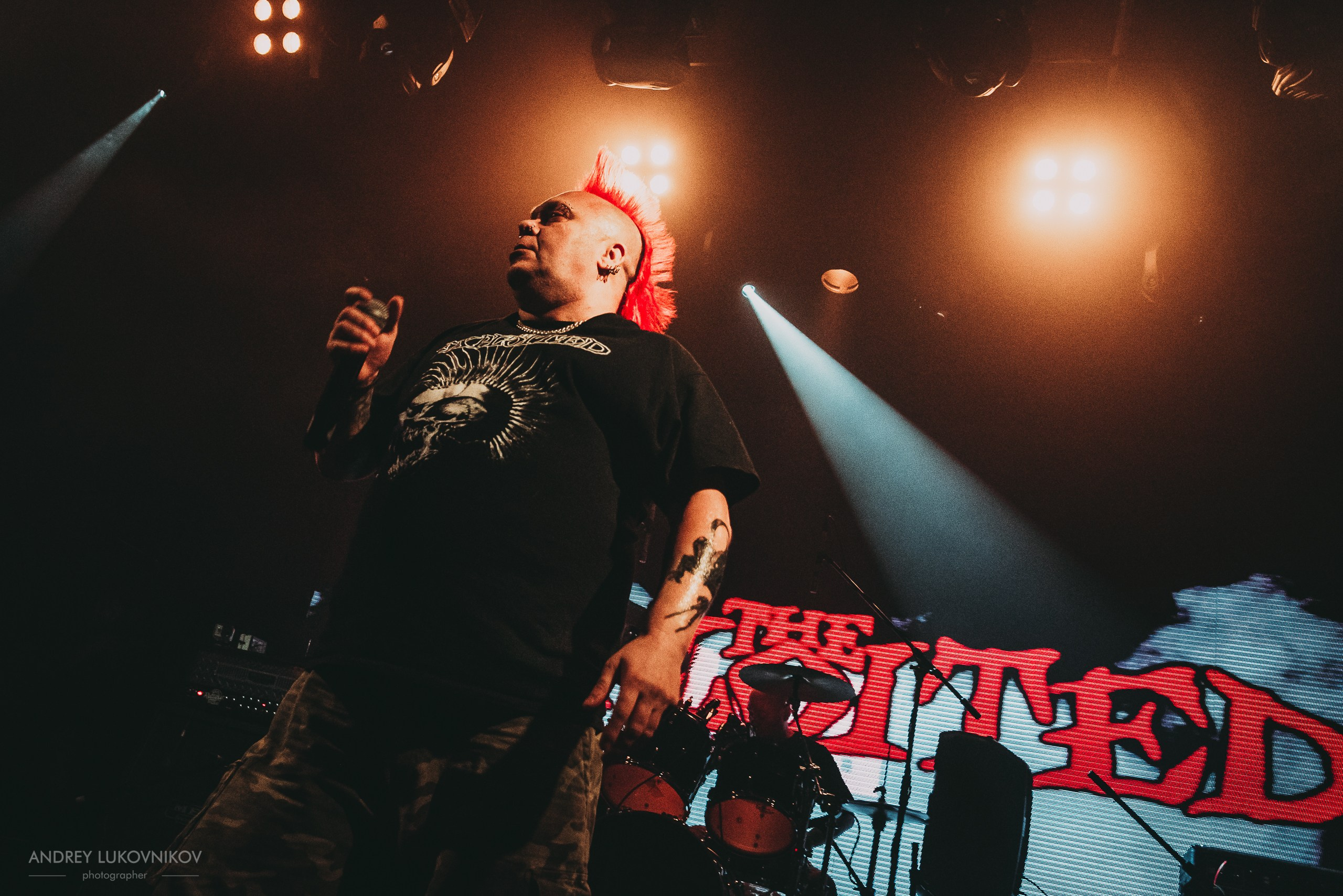 The Exploited. Tour 2017