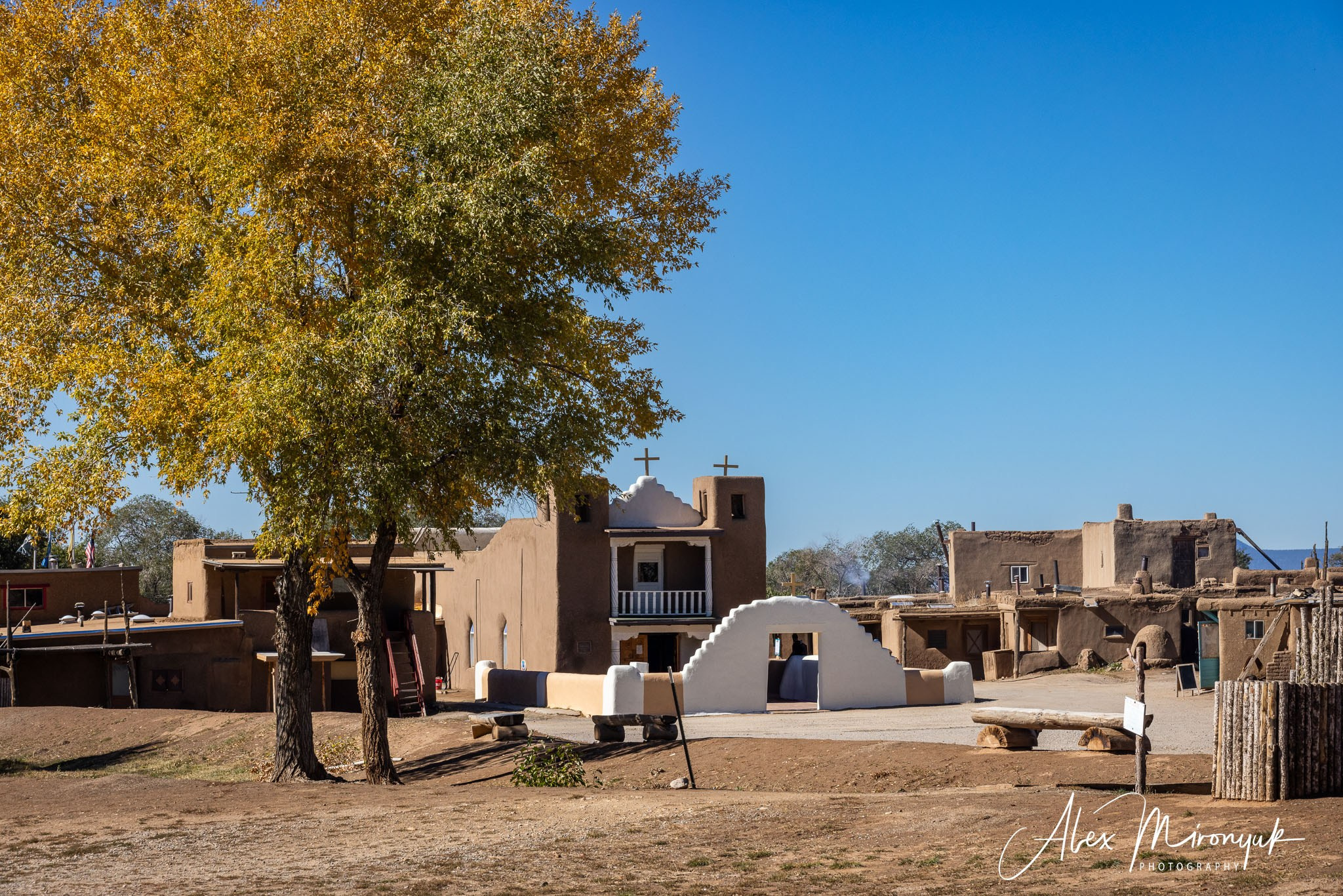 The Best of New Mexico. Pet, Senior, Landscape, portrait studio, photographer in Miami and Sou