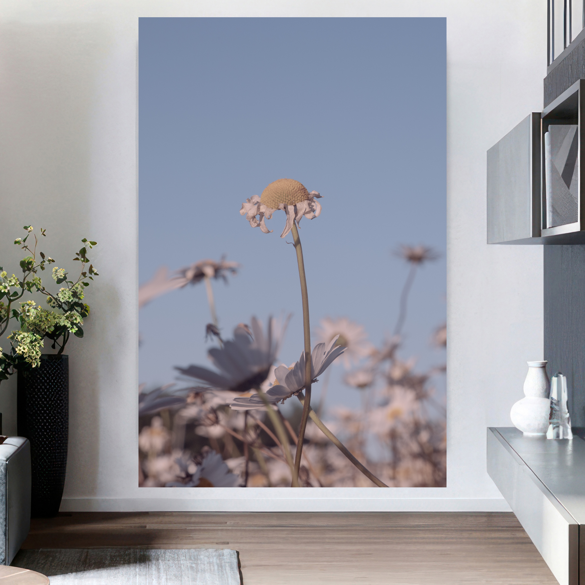 DAISIES. Natalja Poplavska — Visual artist, Photographer, East Sussex, London