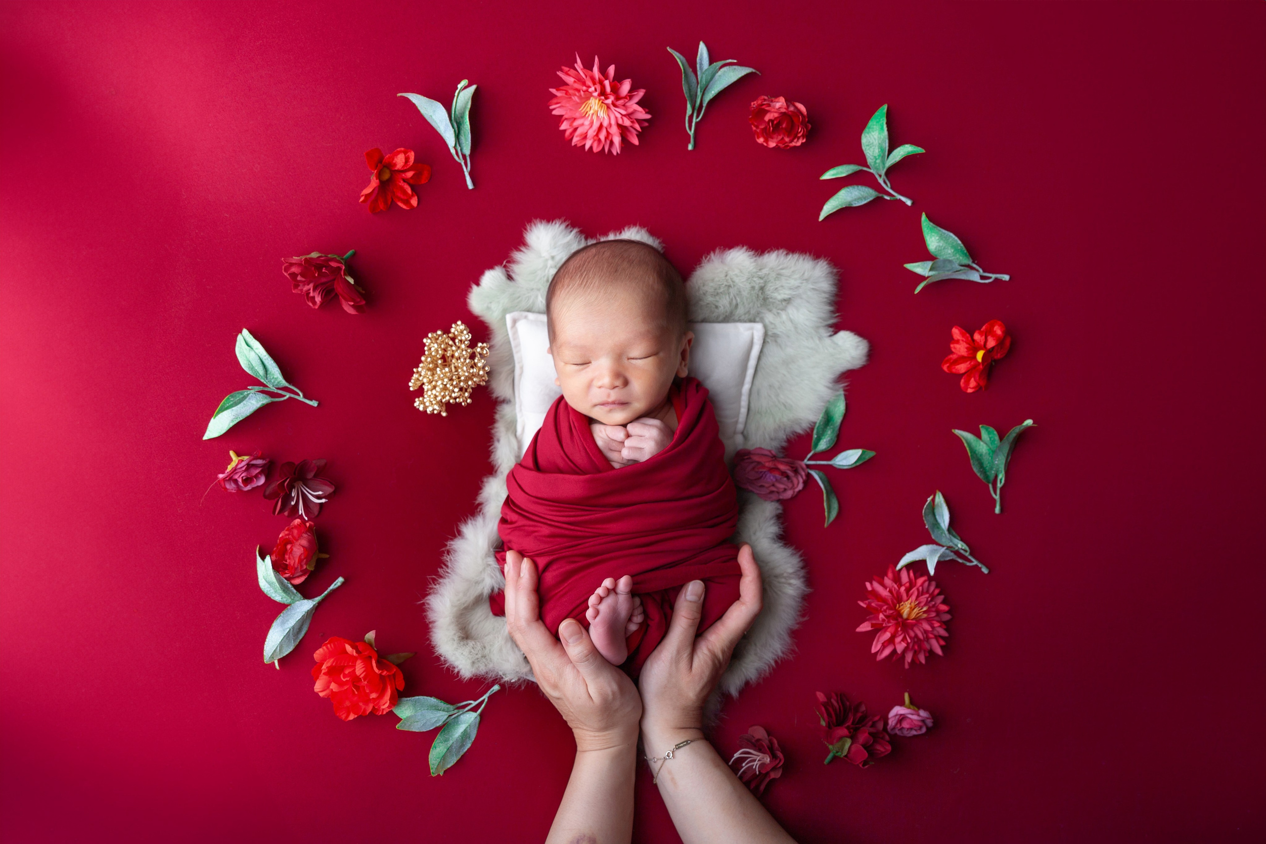 Services. Marina Pravda Photography San Francisco Bay Area