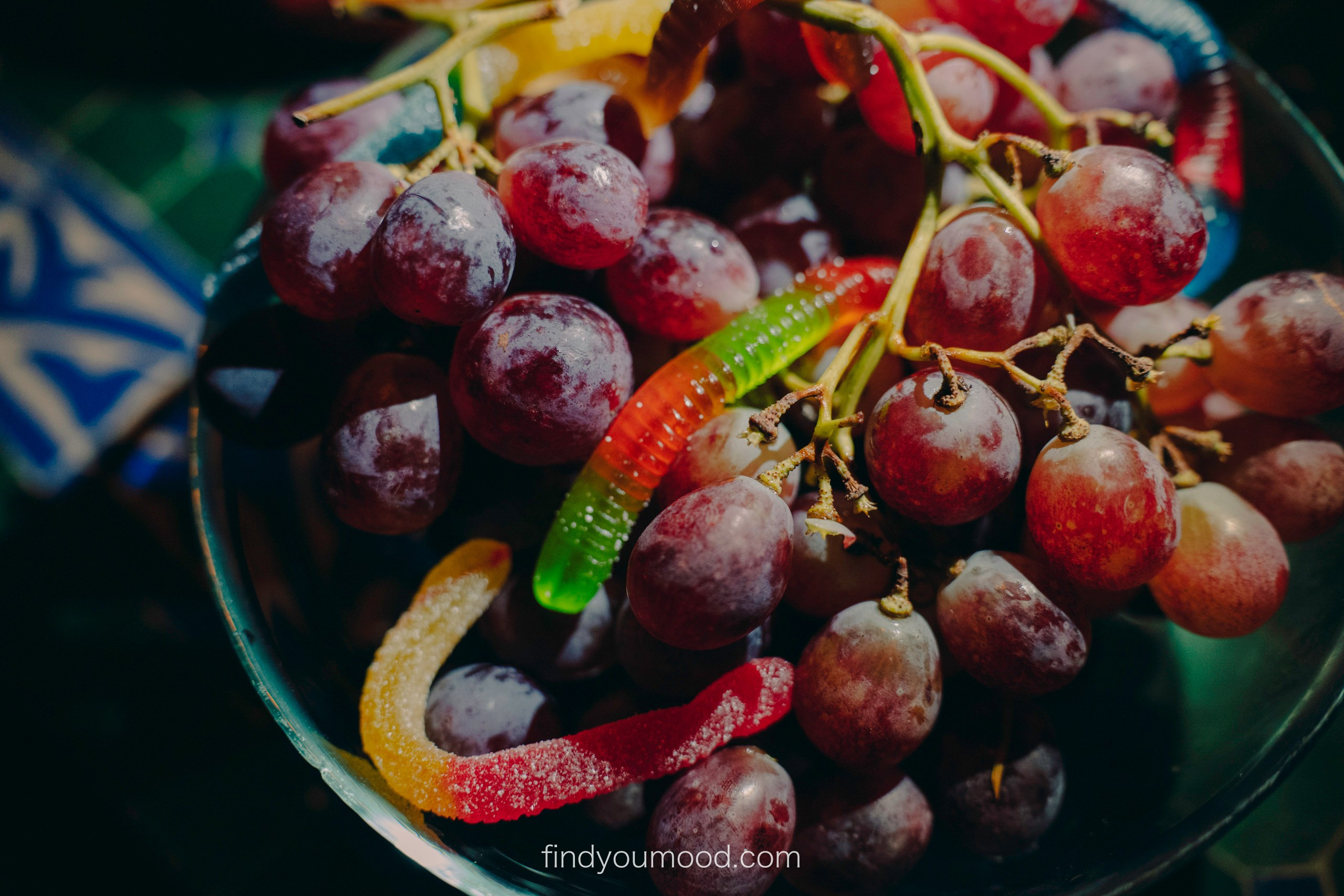 Halloween. Photo and video shooting