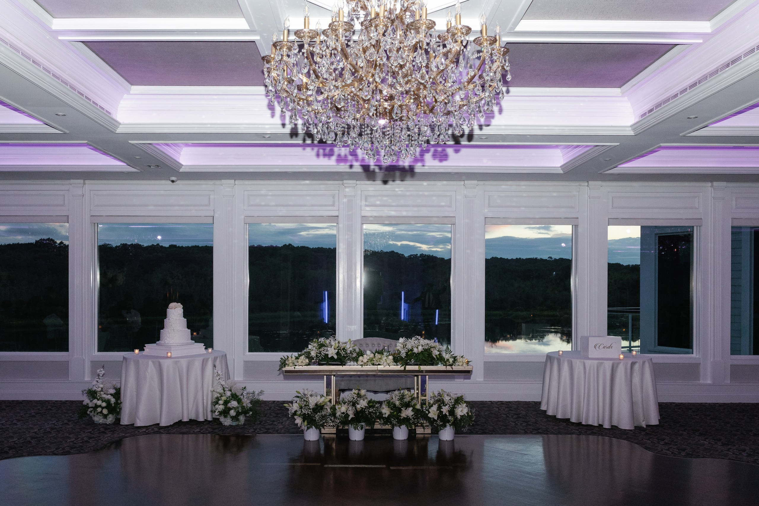 Anusha and Michael. Wedding Photo & Video