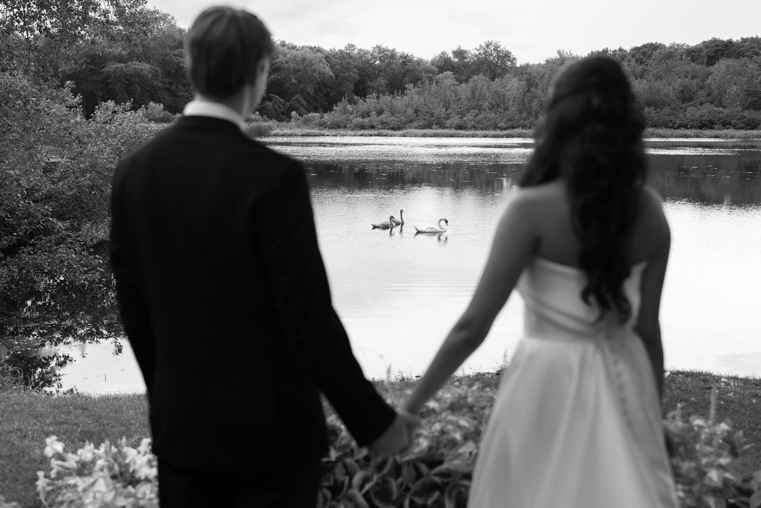 Anusha and Michael. Wedding Photo & Video