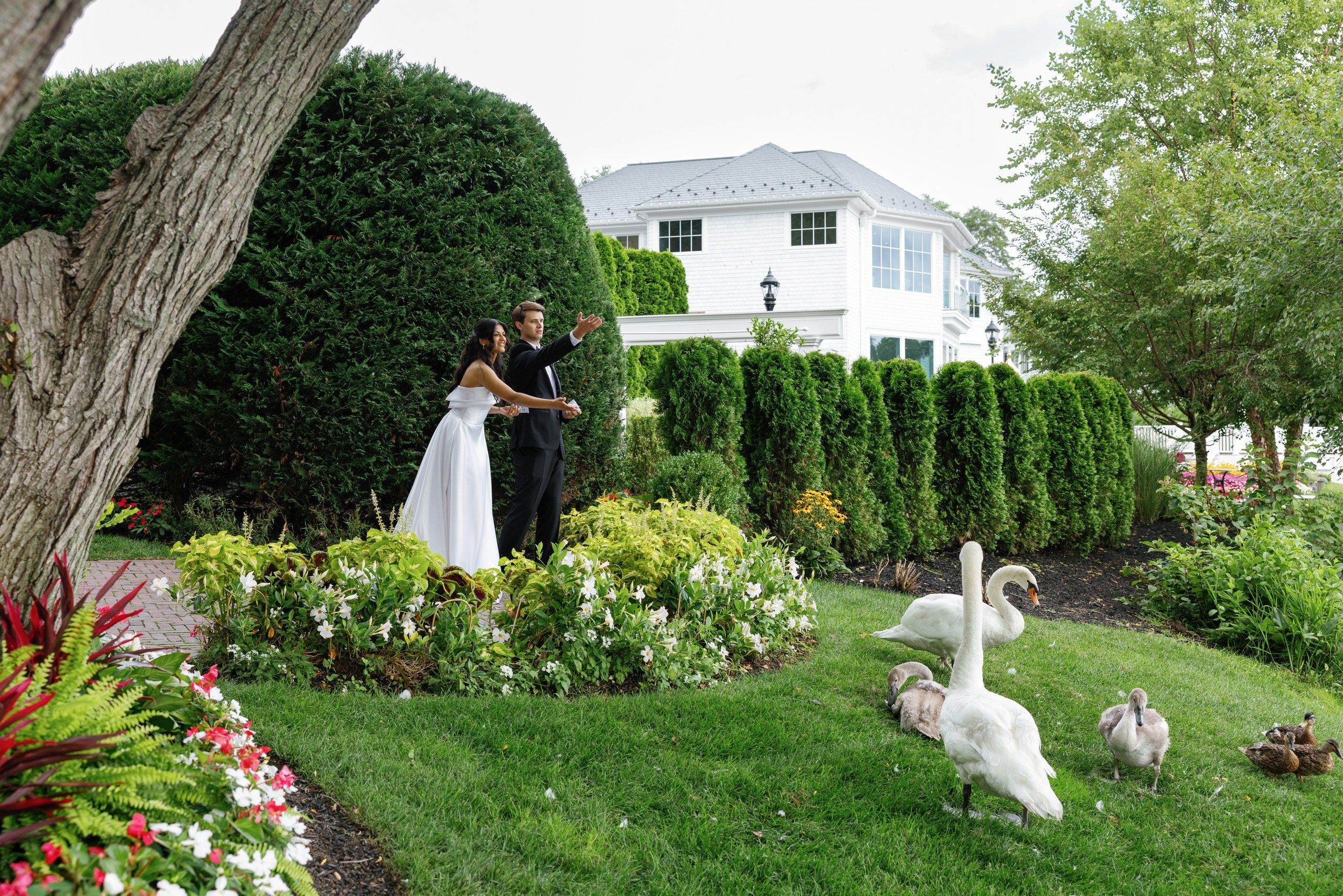 Anusha and Michael. Wedding Photo & Video