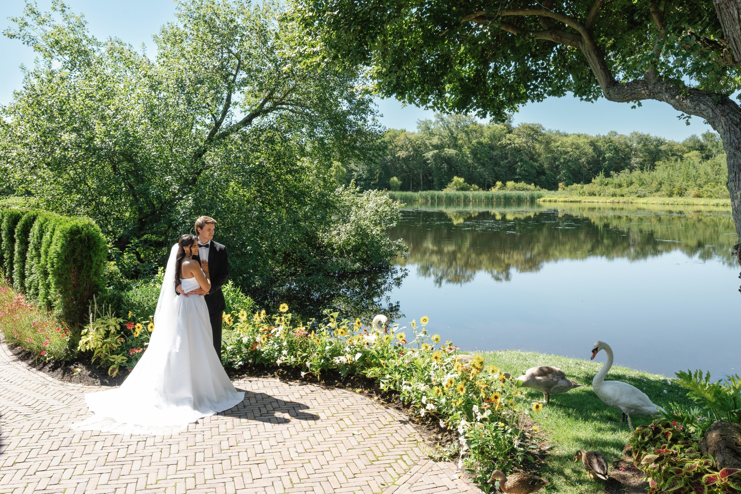 Anusha and Michael. Wedding Photo & Video