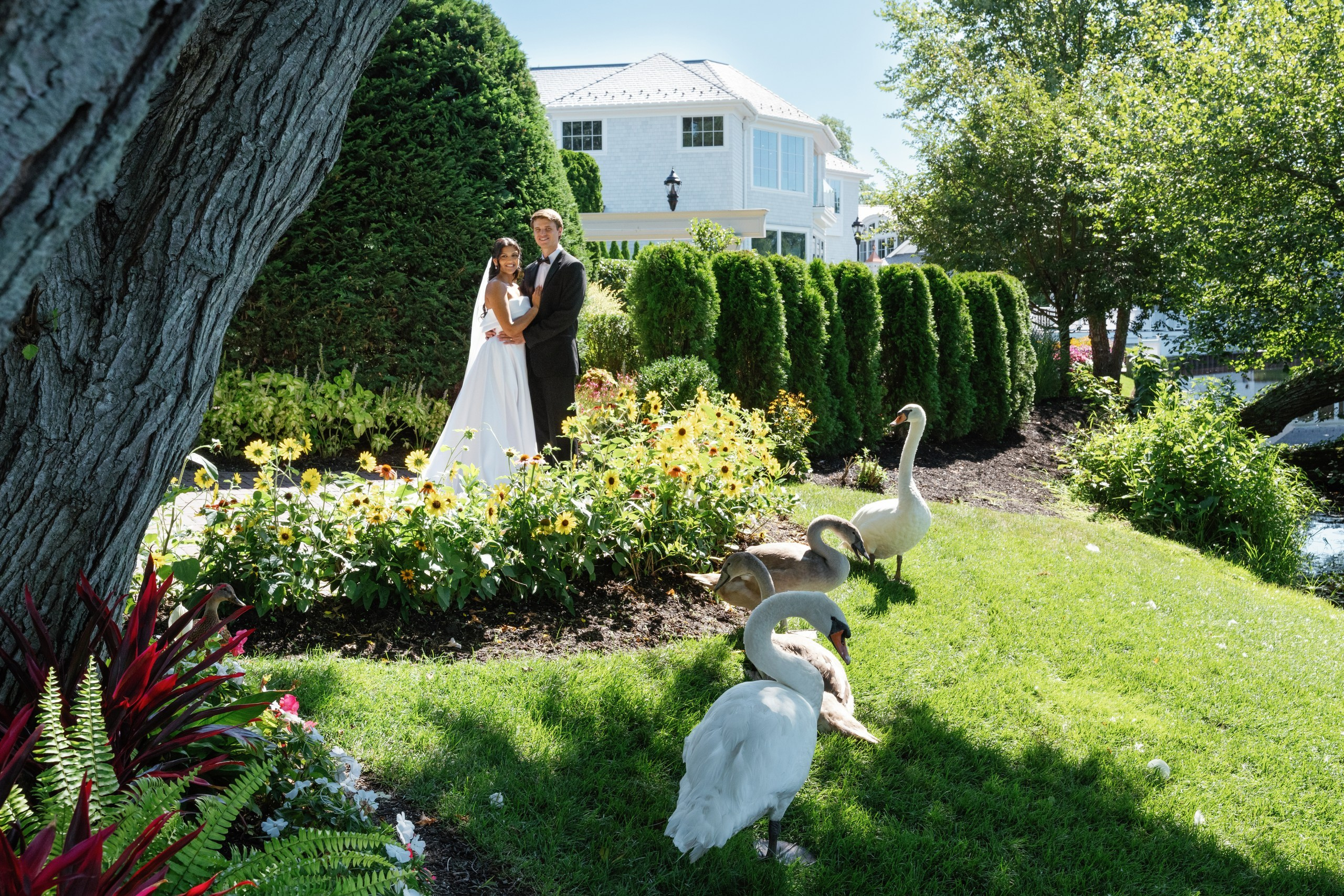 Anusha and Michael. Wedding Photo & Video