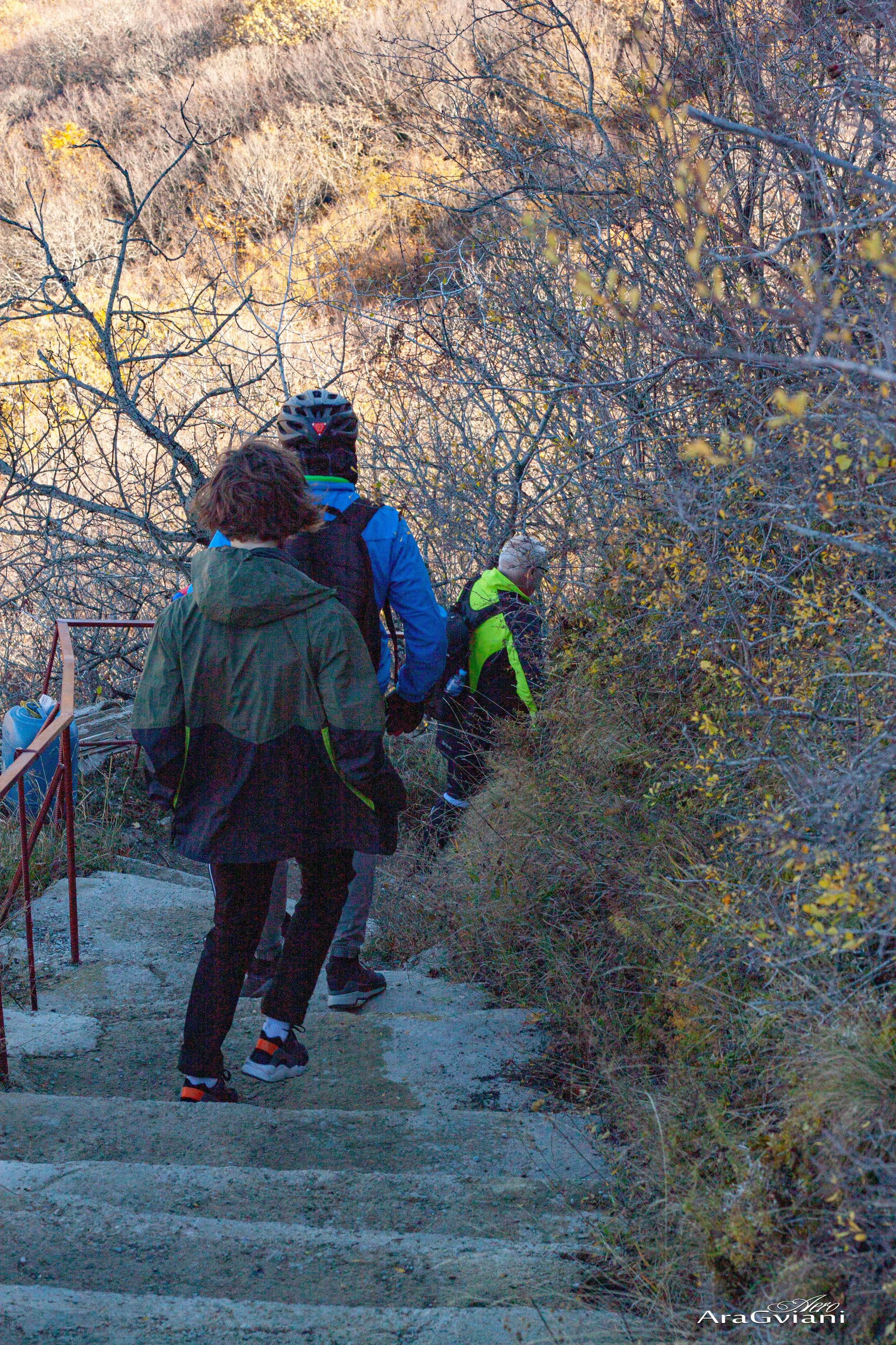 ჰიპოველოს შემოდგომის ველოტური წვერში. FramefreeMan