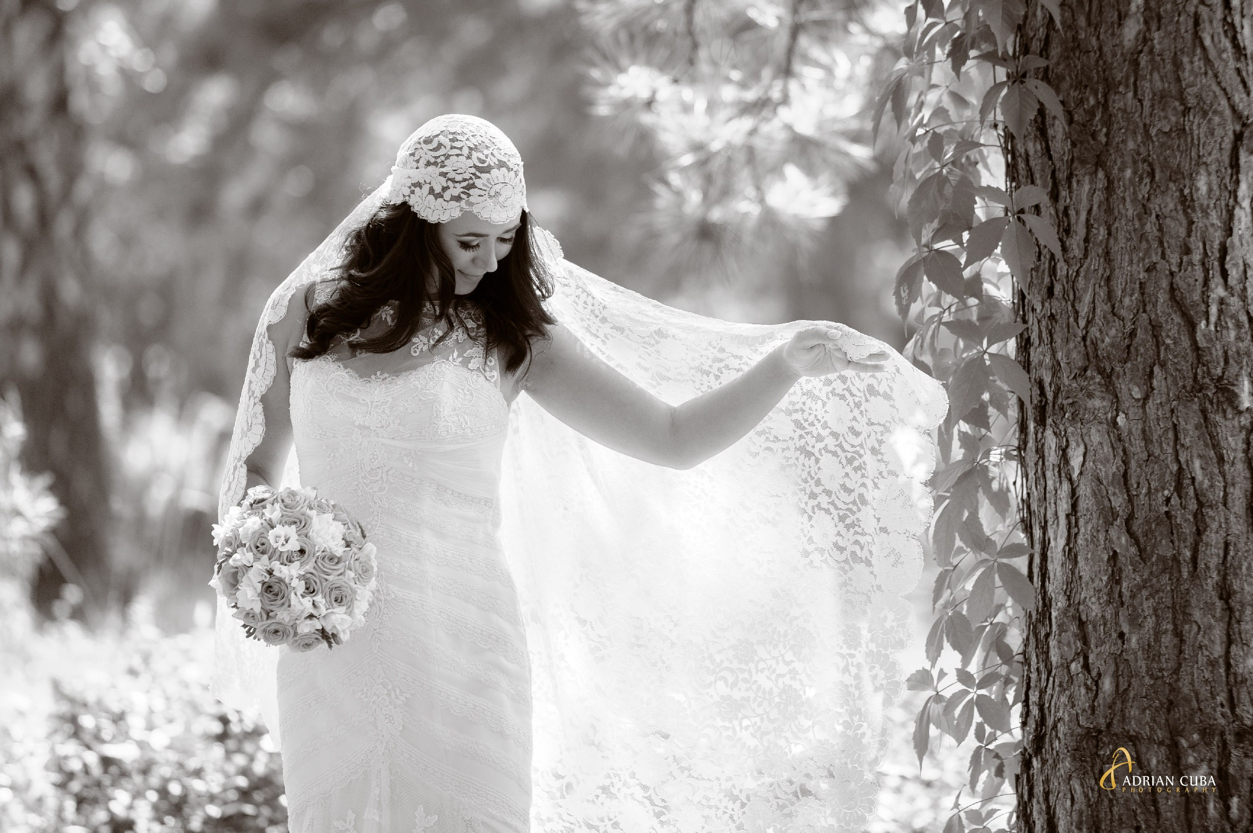 Fotograf nunta Iasi | Adrian Cuba — servicii profesionale de fotografie de nunta