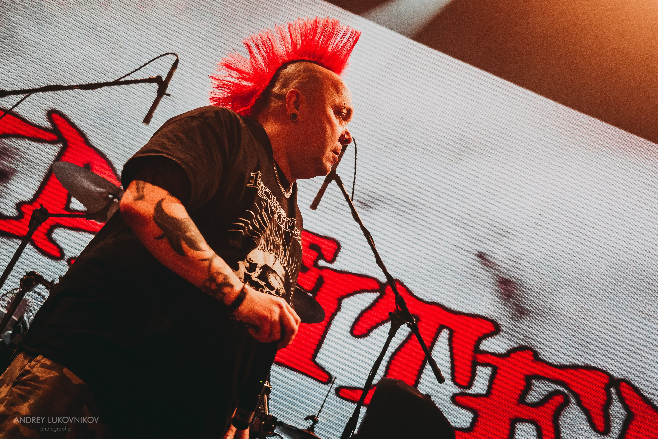 The Exploited. Tour 2017