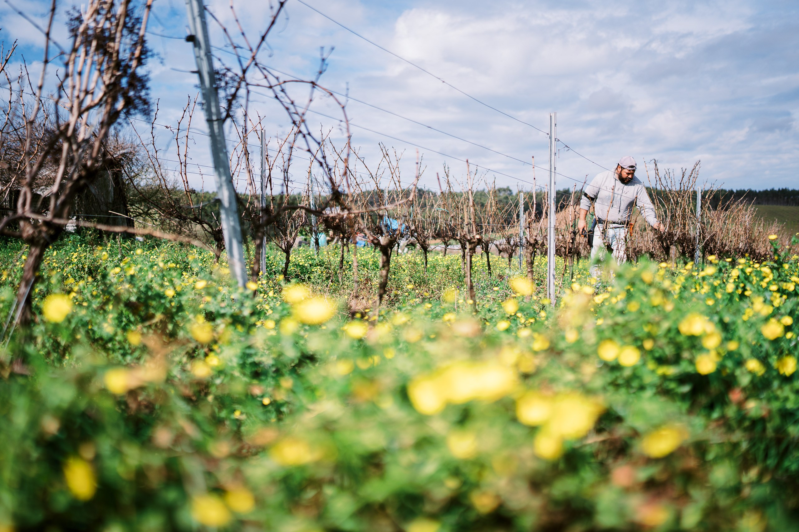 Beyond Creative 20 | Cinematic Video & Photography Production Lisbon & Algarve