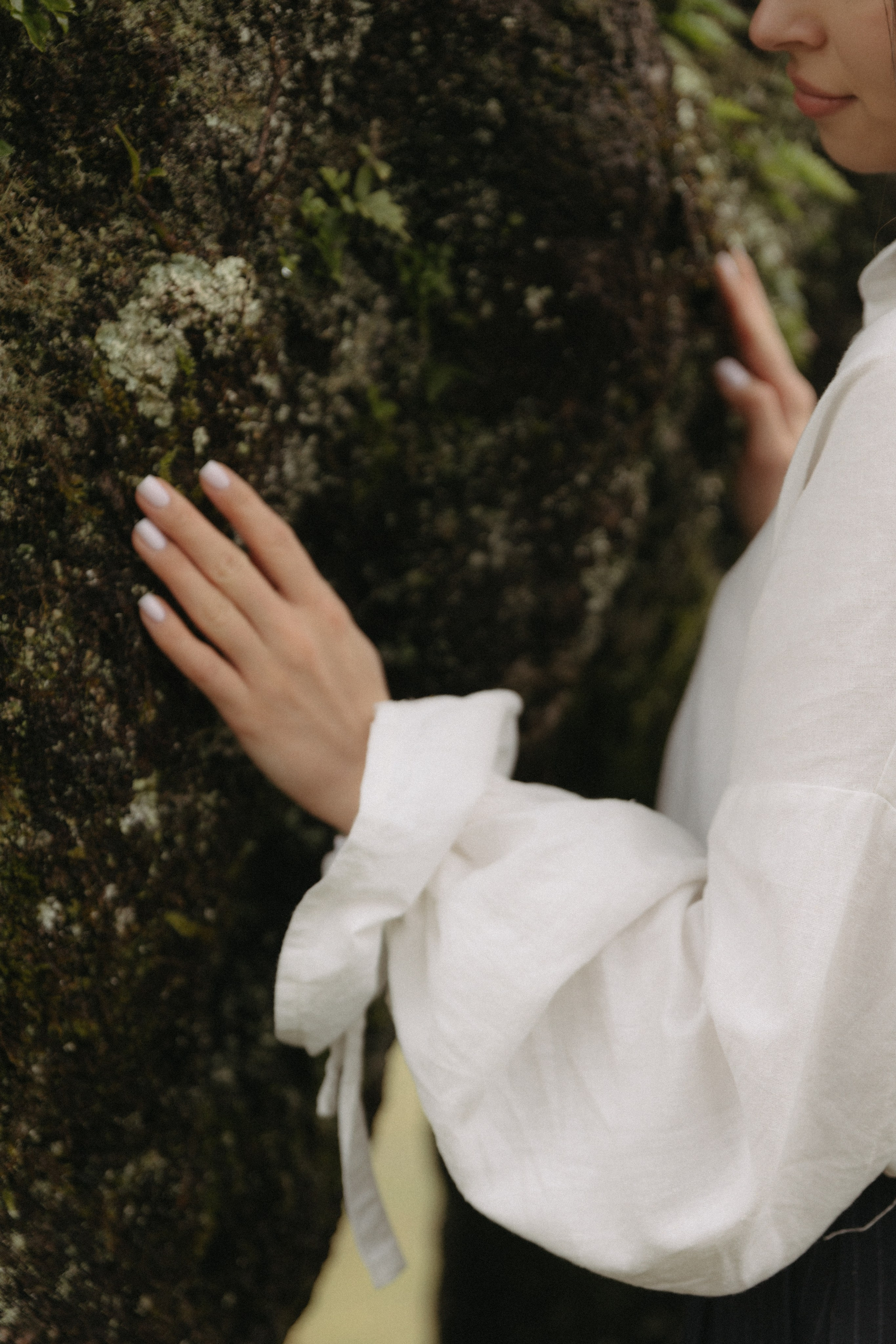 Magic of Fanal Forest. Wedding photographer and videographer based in Timisoara, Romania