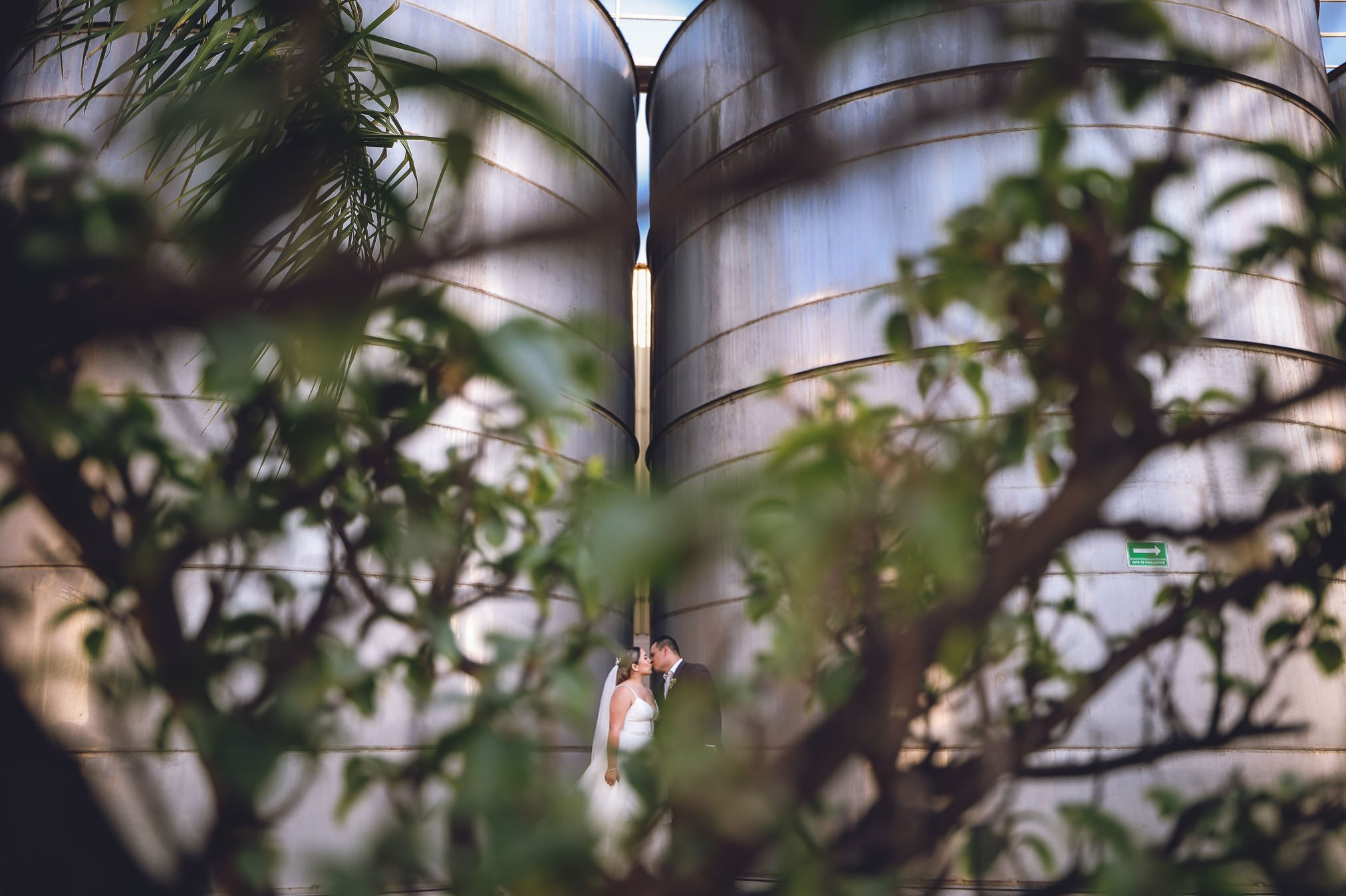 LA Cetto Valle de Guadalupe Boda Araceli e Israel. Estudio de fotografia en Tijuana