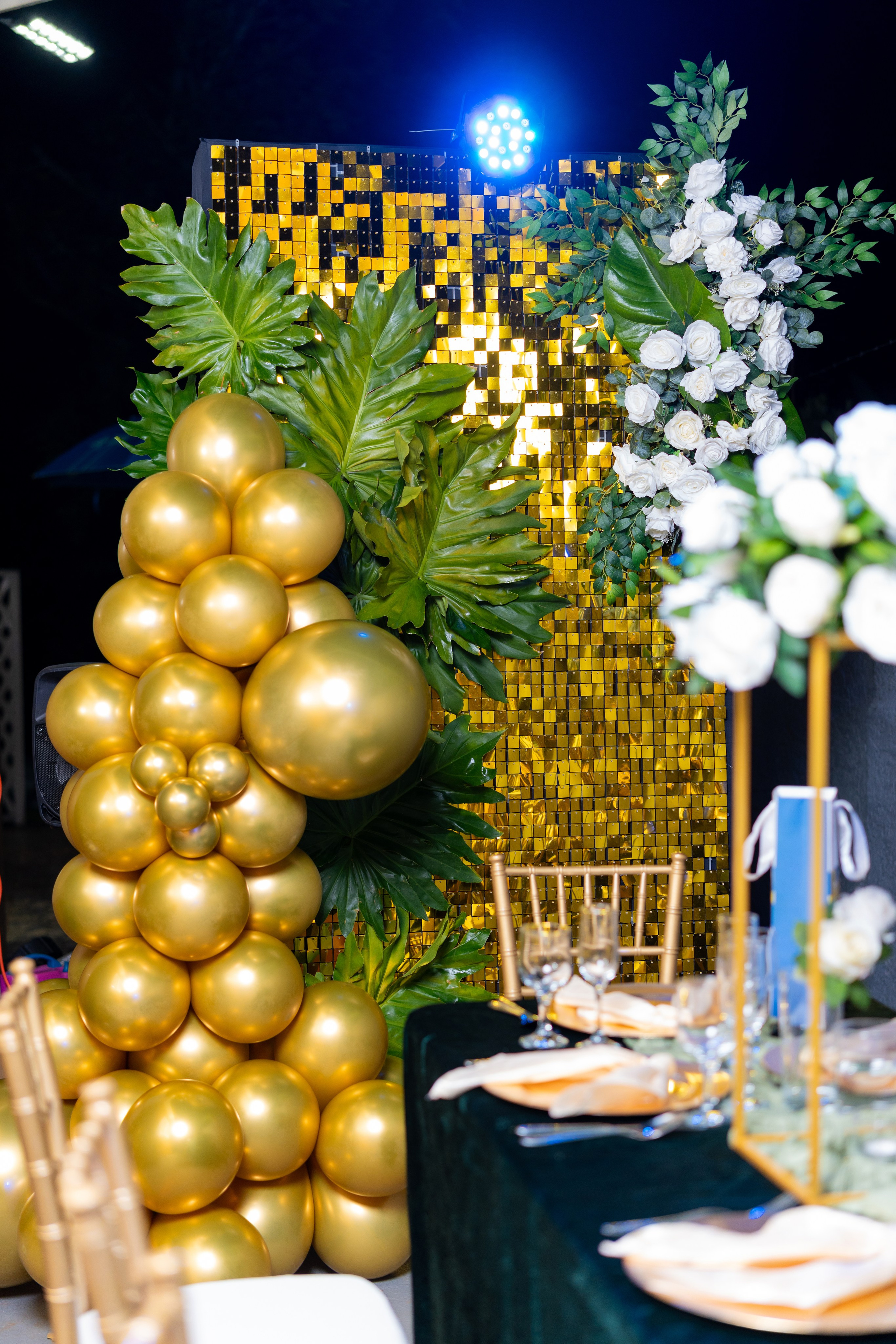 Test. Luminous Entertainment Ja