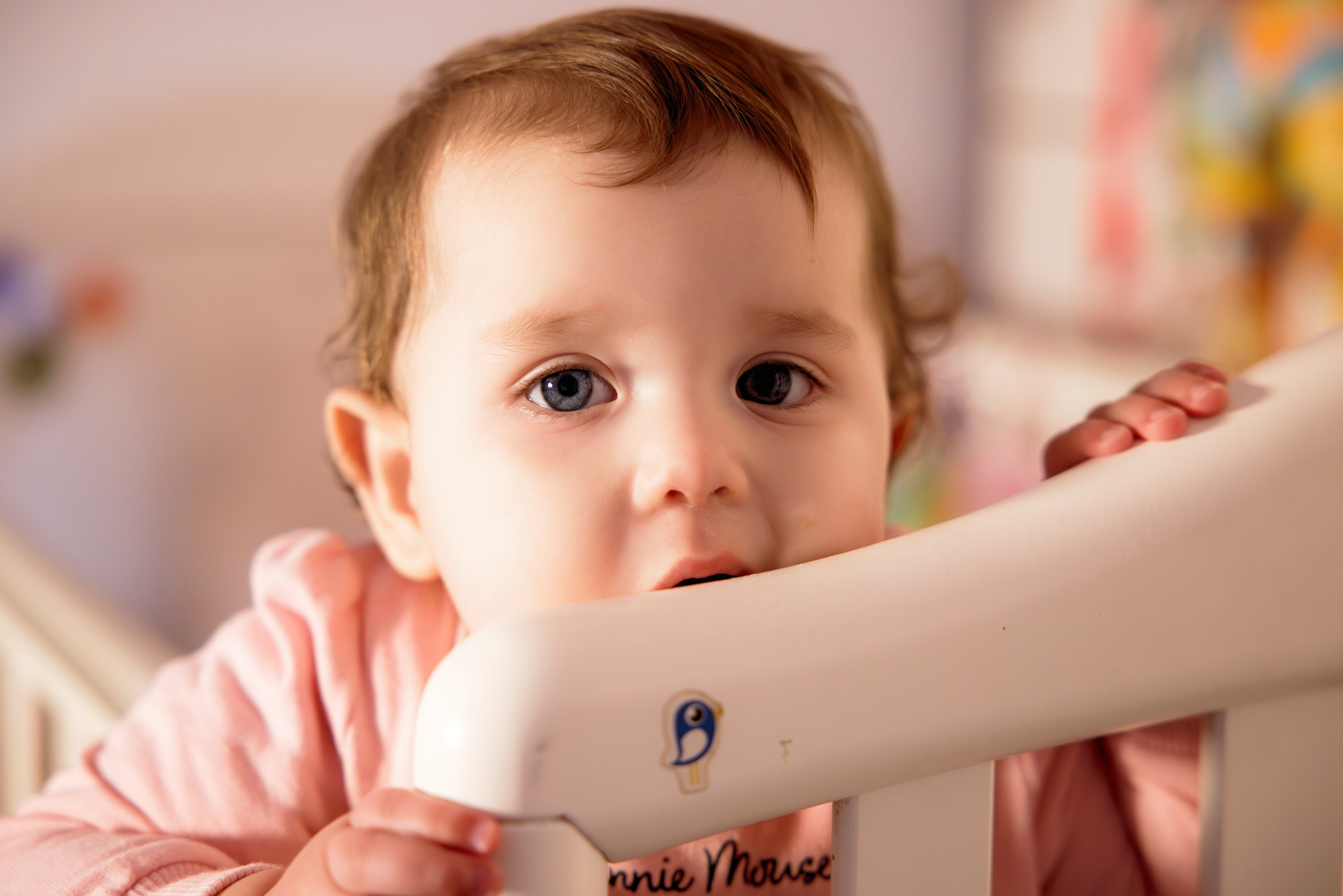 Botez. Gabriel Stanciu — Fotograf Nuntă Brasov