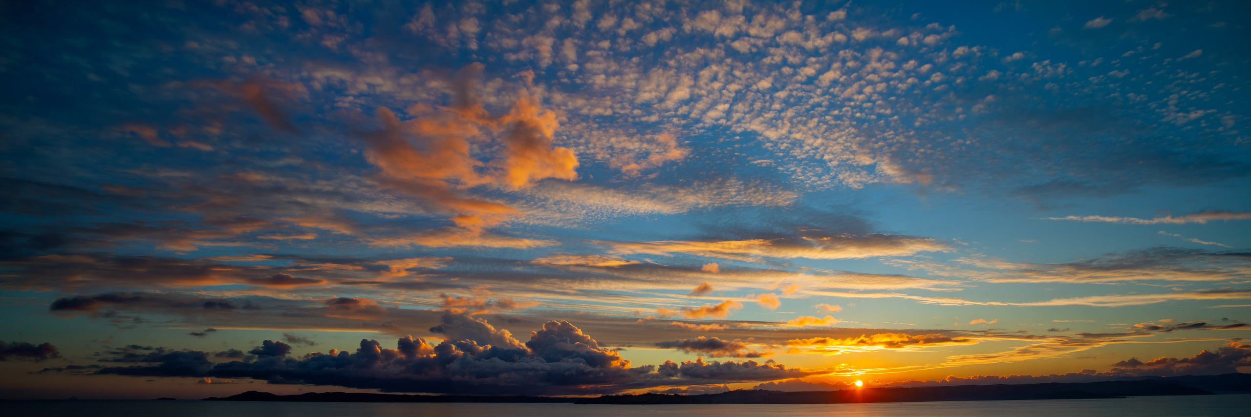 Nature photographer Yuri Soria-Galvarro