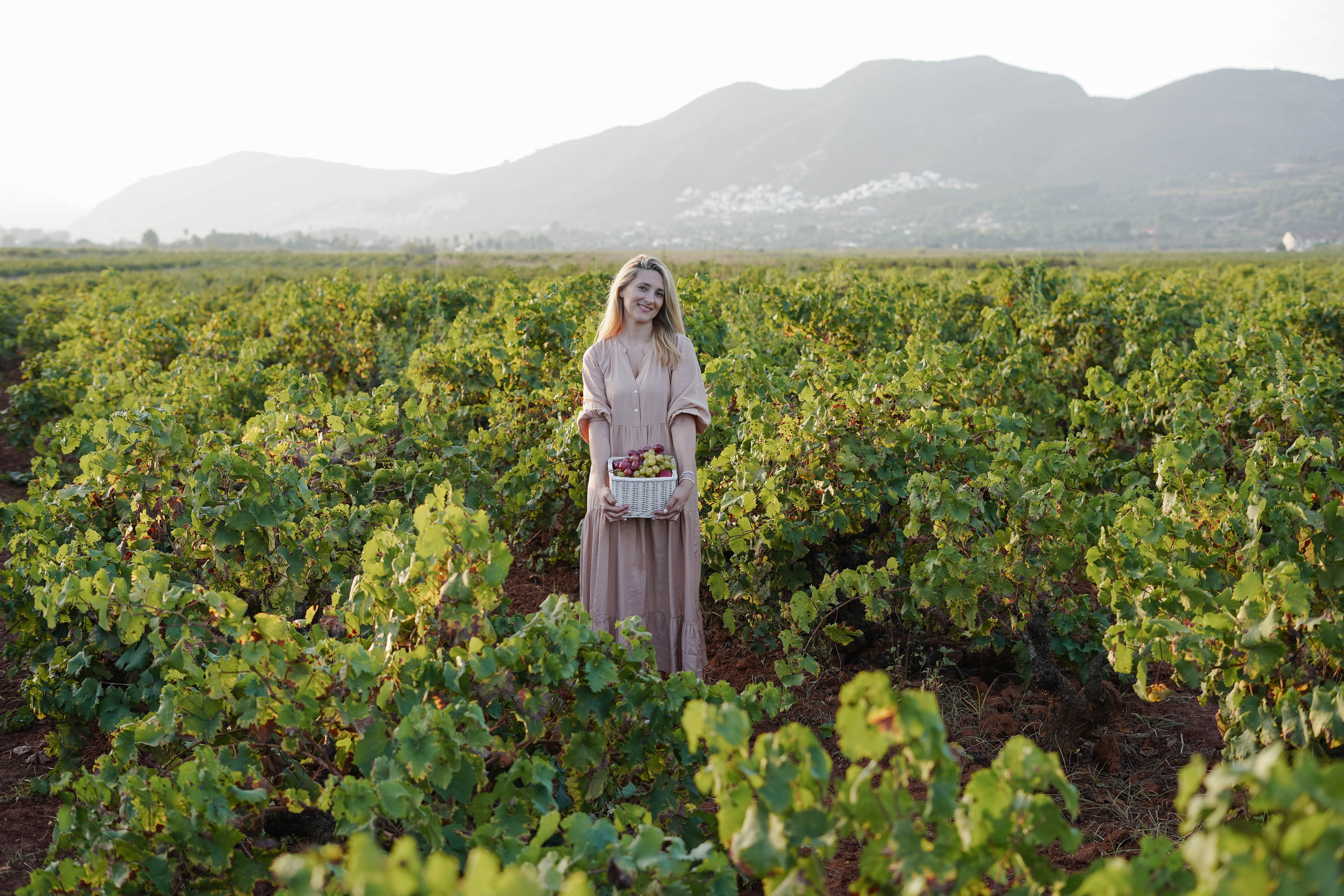 Семейная фотосессия в виноградниках Испания. Fotografo familiar, bodas, reportaje Diana Memetova Alicante, Benidorm