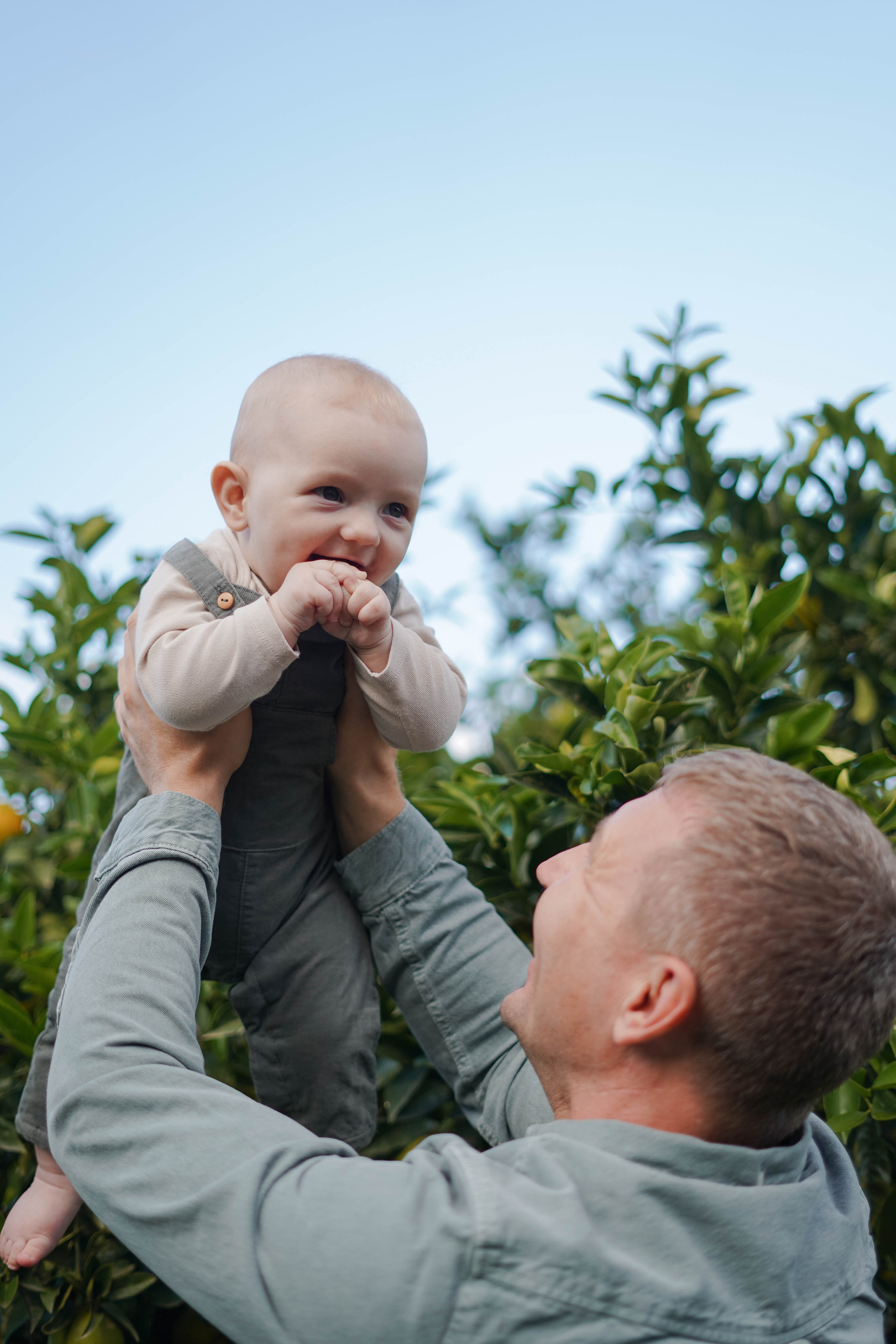 Семейная в апельсиновом саду. Индивидуальный, семейный, свадебный фотограф Бенидорм Диана Меметова
