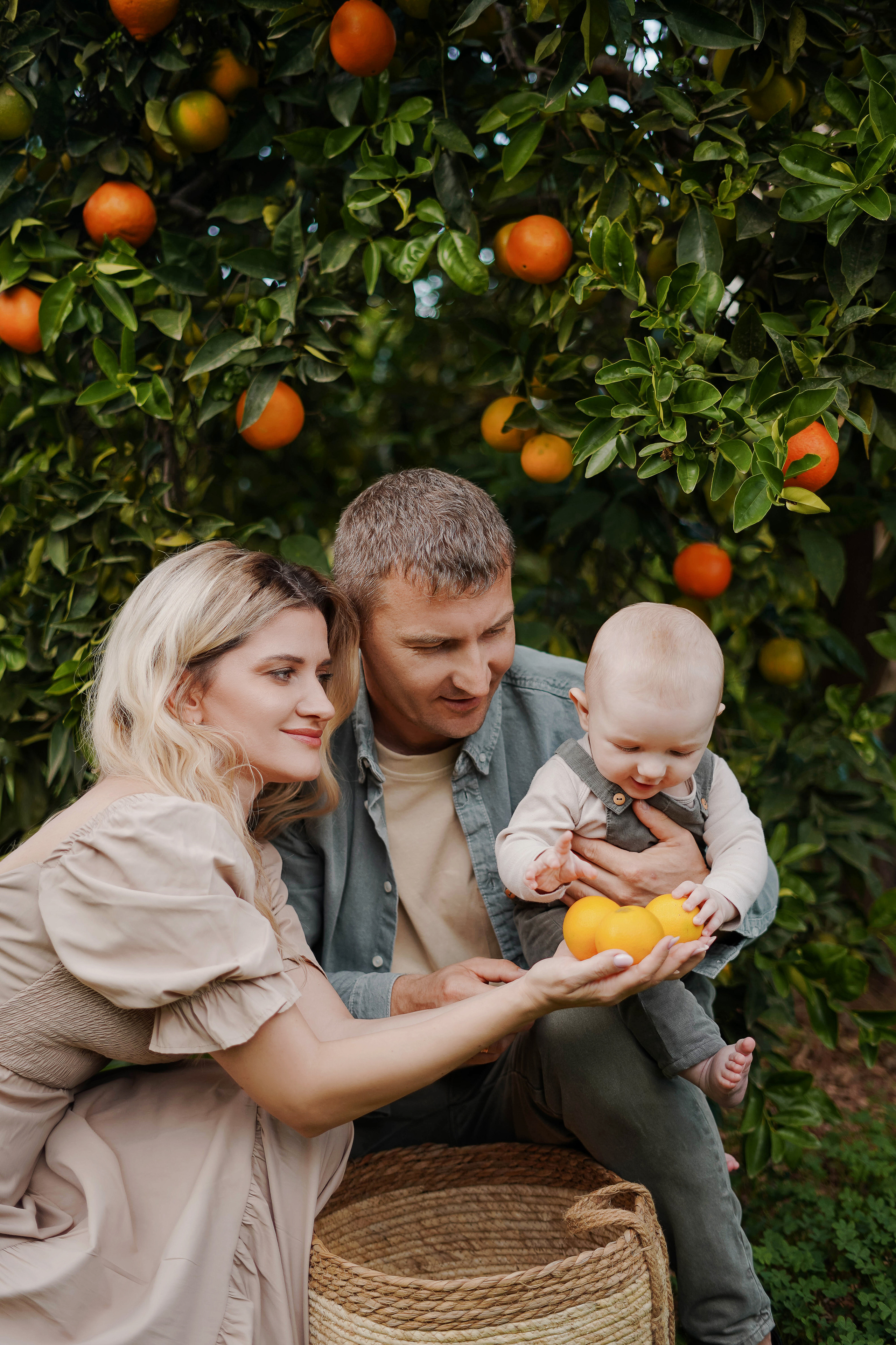 Семейная в апельсиновом саду. Индивидуальный, семейный, свадебный фотограф Бенидорм Диана Меметова