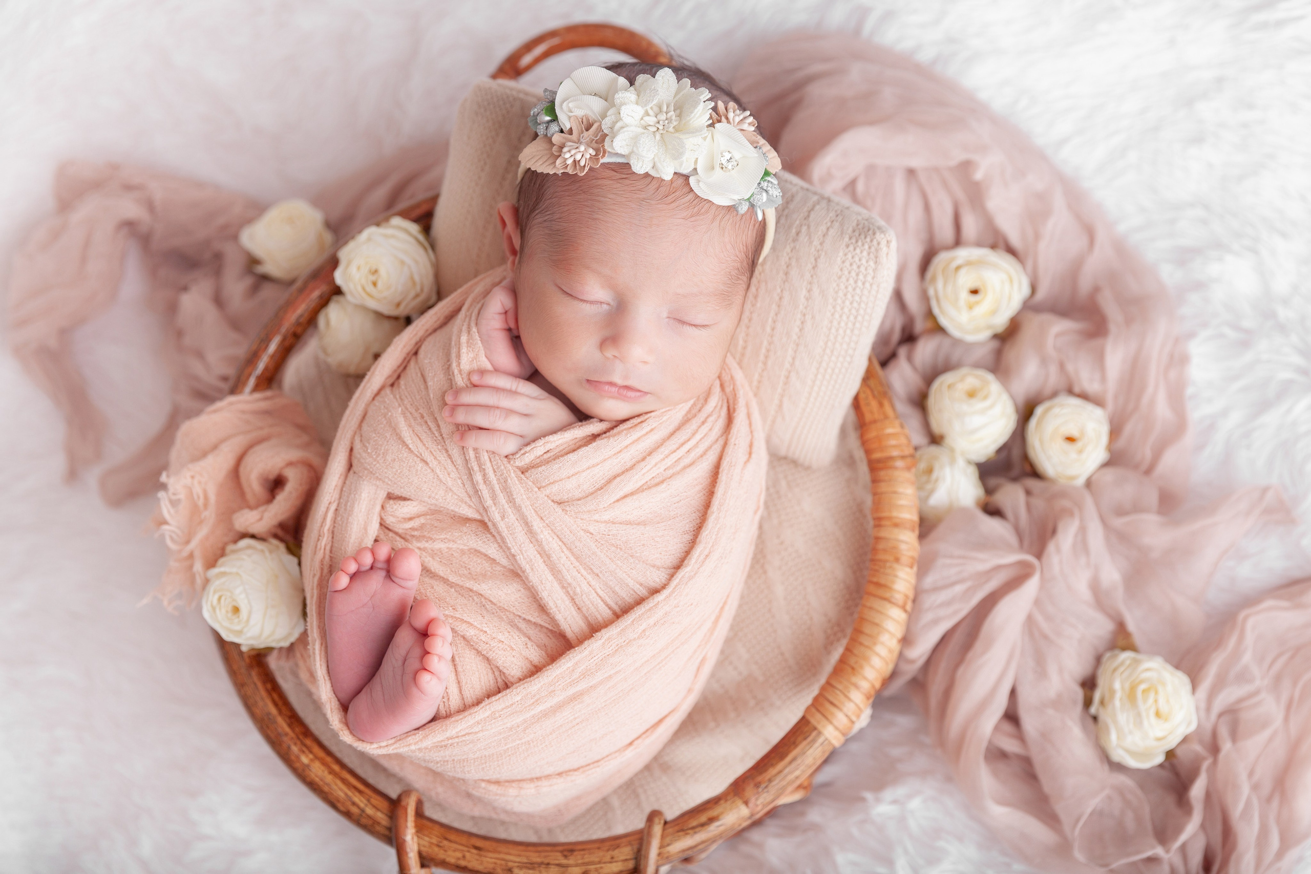 Services. Marina Pravda Photography San Francisco Bay Area