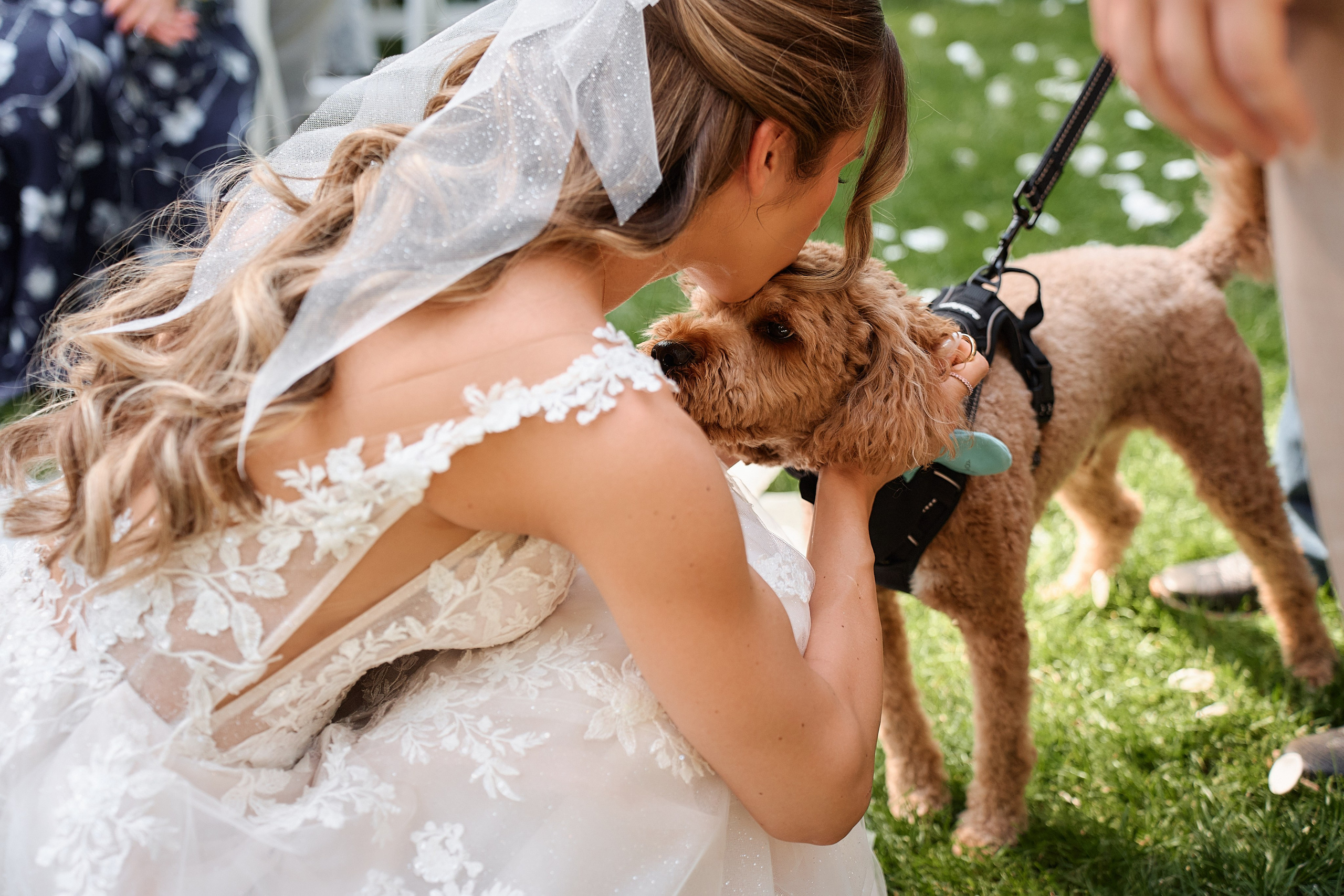 Packages & Pricing. Professional Wedding and event photographer USA New York