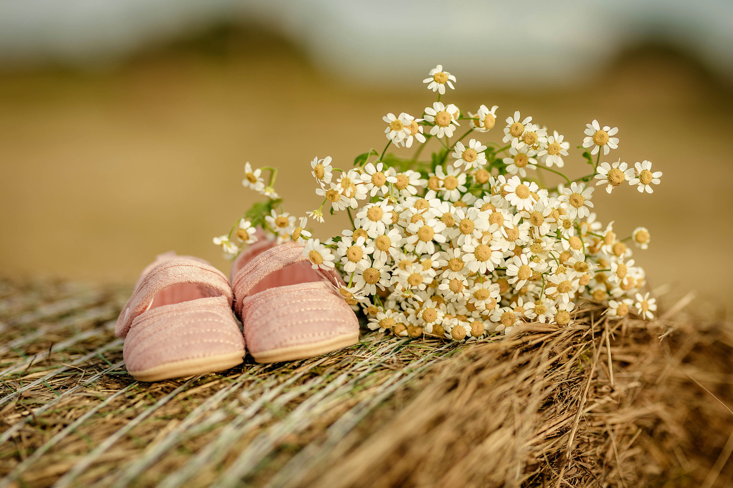 Съемка Екатерины и Игоря. Семейный и портретный фотограф в Эстонии Наталья Фрейманис