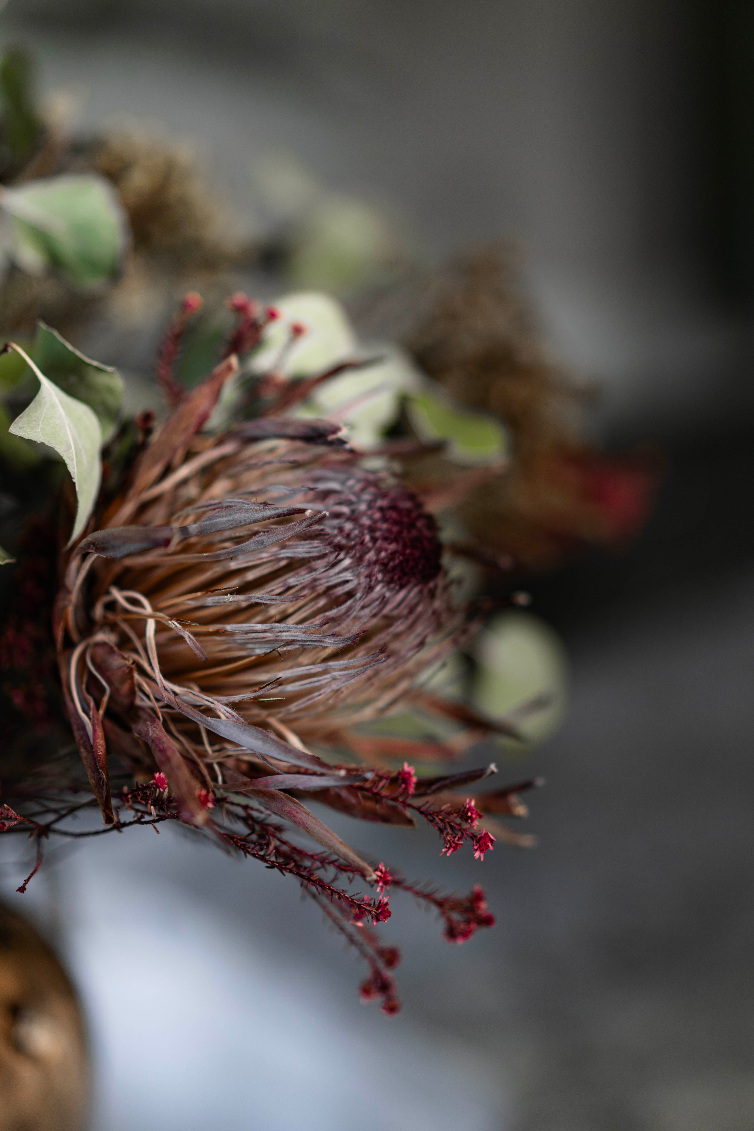 Interior photoshoot. Tonya Kyrylenko photographer in London