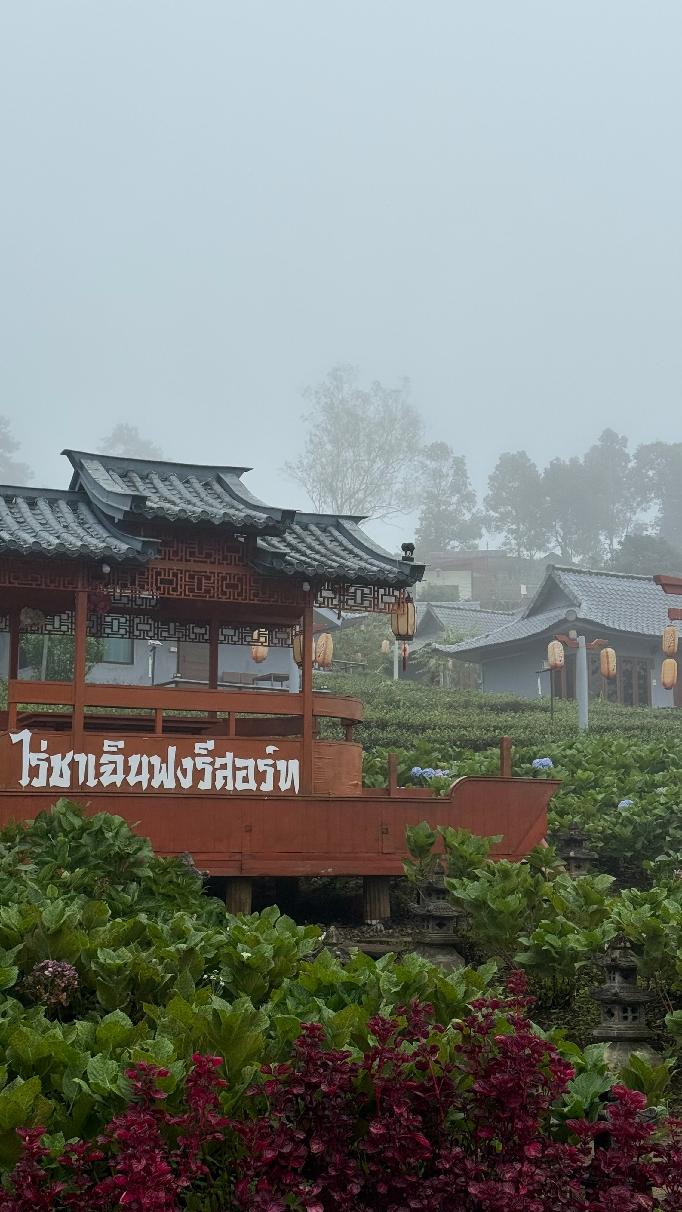 Совместное путешествие на север Таиланда. Женский клуб в Паттайе