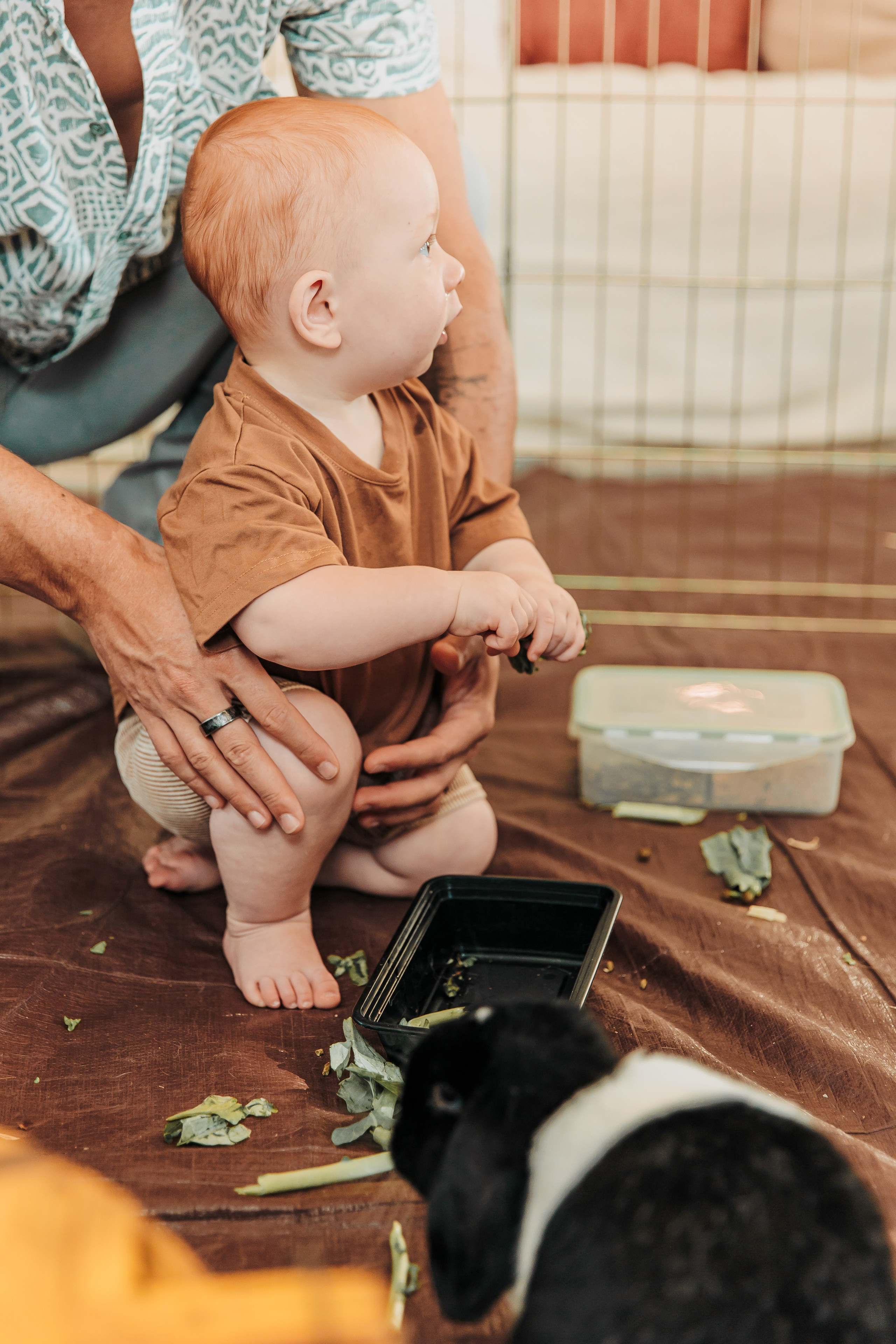HAWK’S 1ST BIRTHDAY. AUSTIN, TEXAS. A FRIENDS AND FAMILY GATHERING. Professional Photography in Austin, TX — Family, Newborn, Maternity