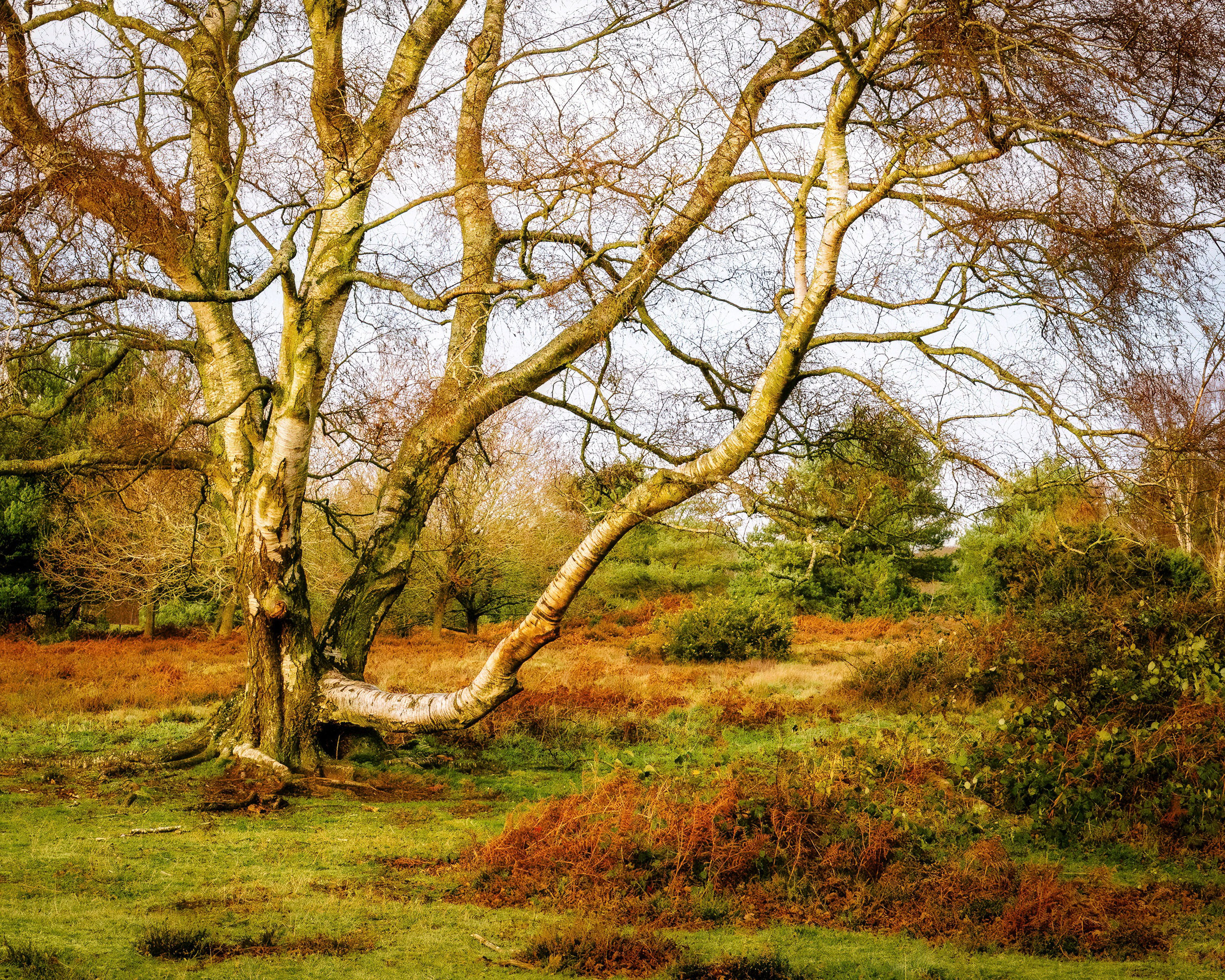 UK Landscape & Seascape Gallery. Hedley Wright Photography | East Anglia Sport, Street, Wildlife, Landscape & Astrophotography