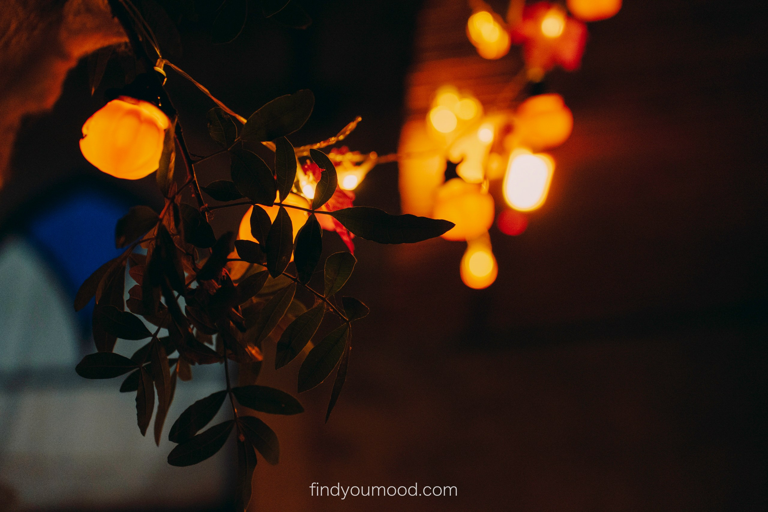 Halloween. Photo and video shooting