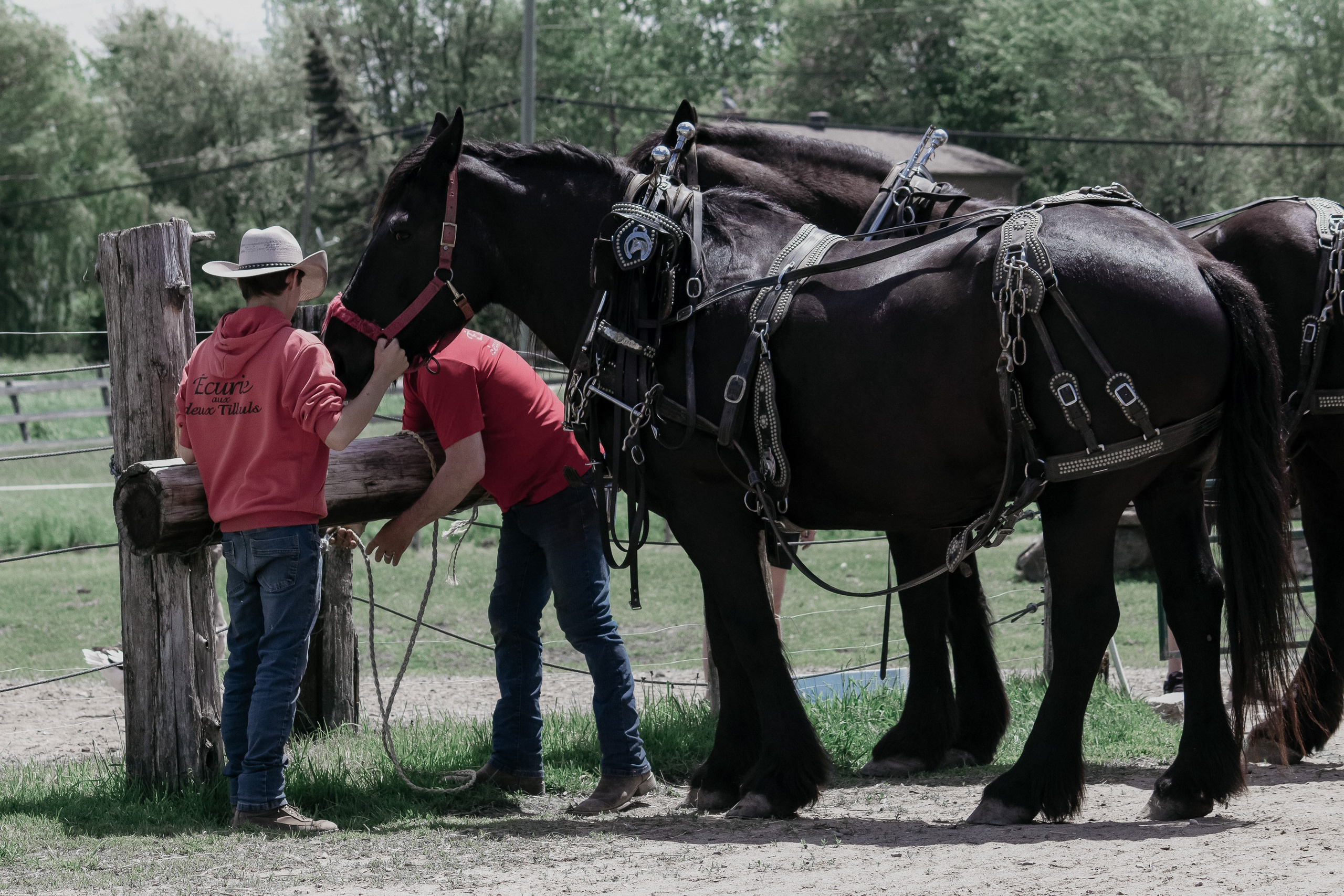 Event. I am a portrait and family photographer Jenny in Montreal and Calgary