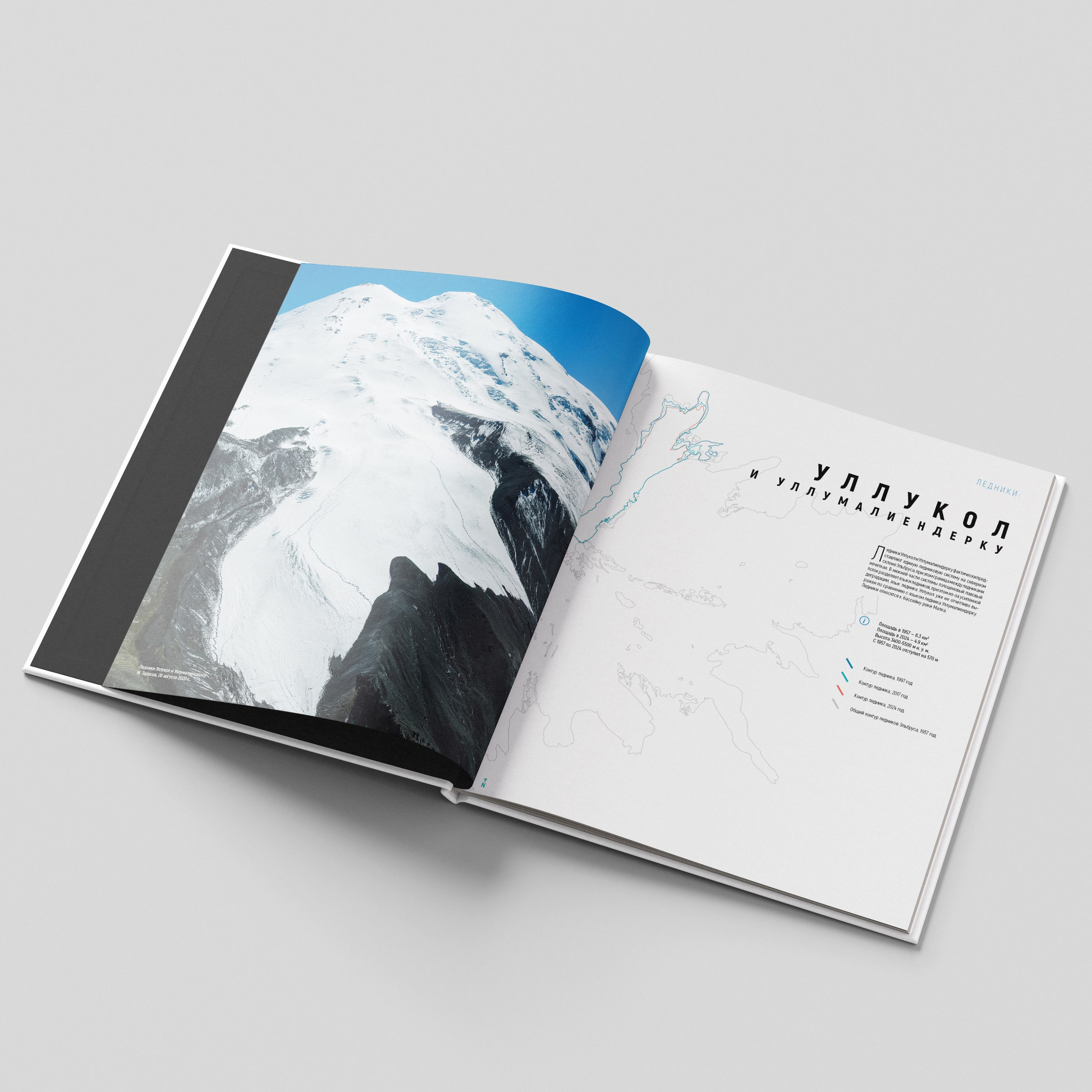 Books. Nelly Elagina