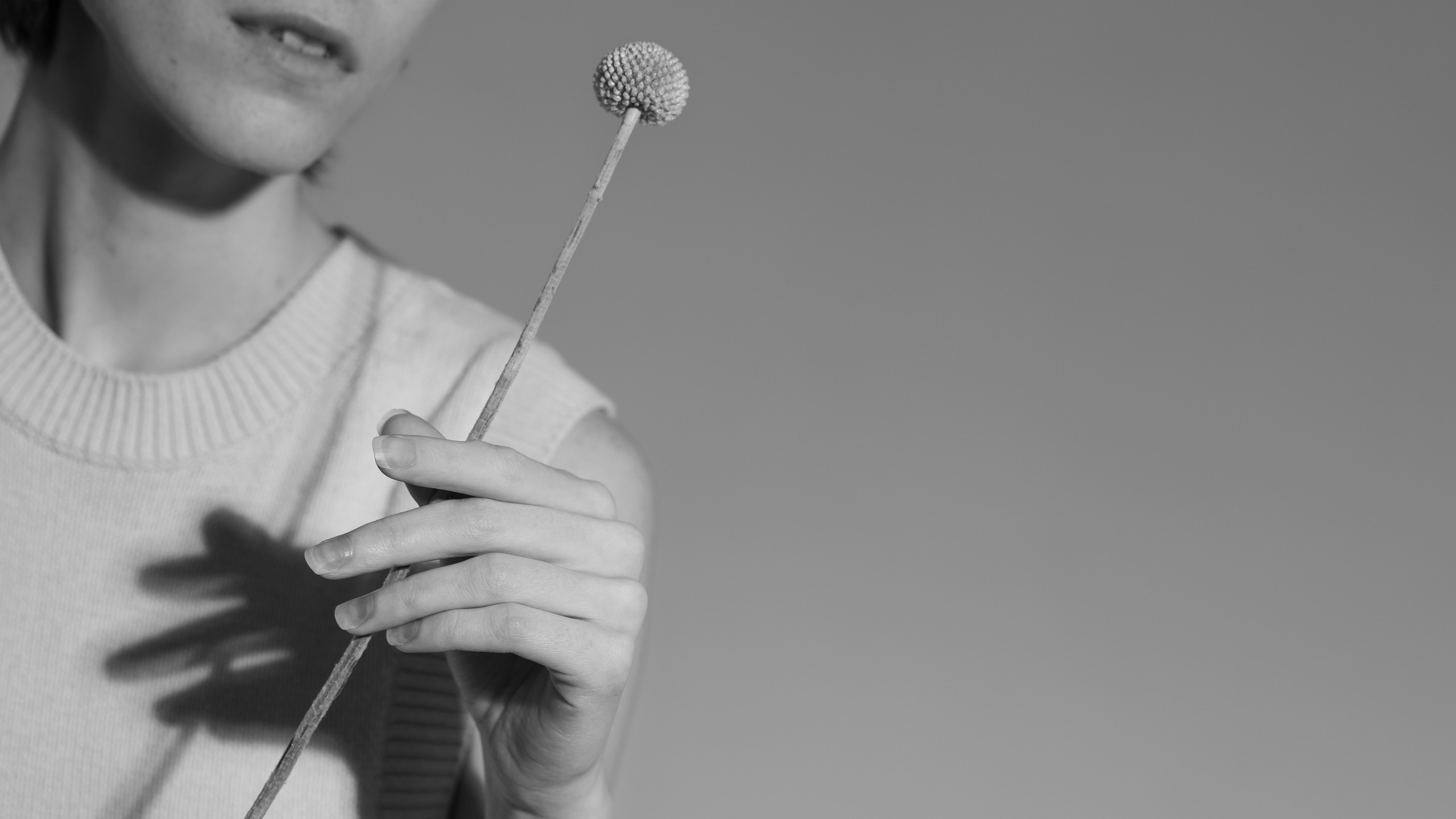 Fotografie de familie