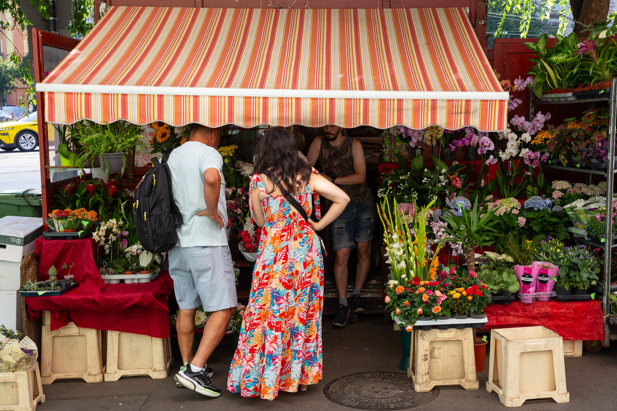 Flowers | Budapest 2026 | CANON 6D