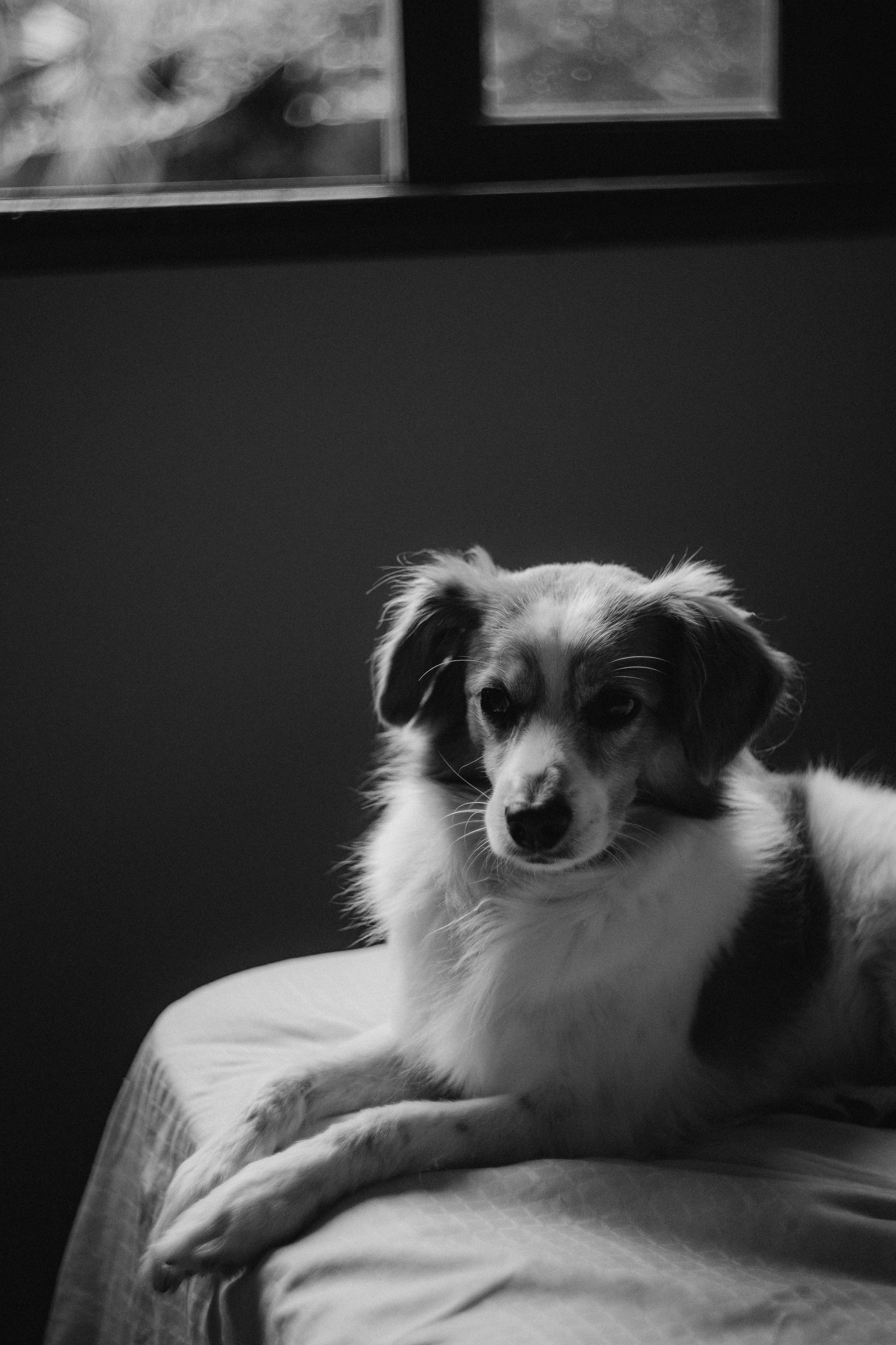 Luca’s 1 month. Fotografa documental de familia e nascimento em Florianópolis SC Daria Ermolaev