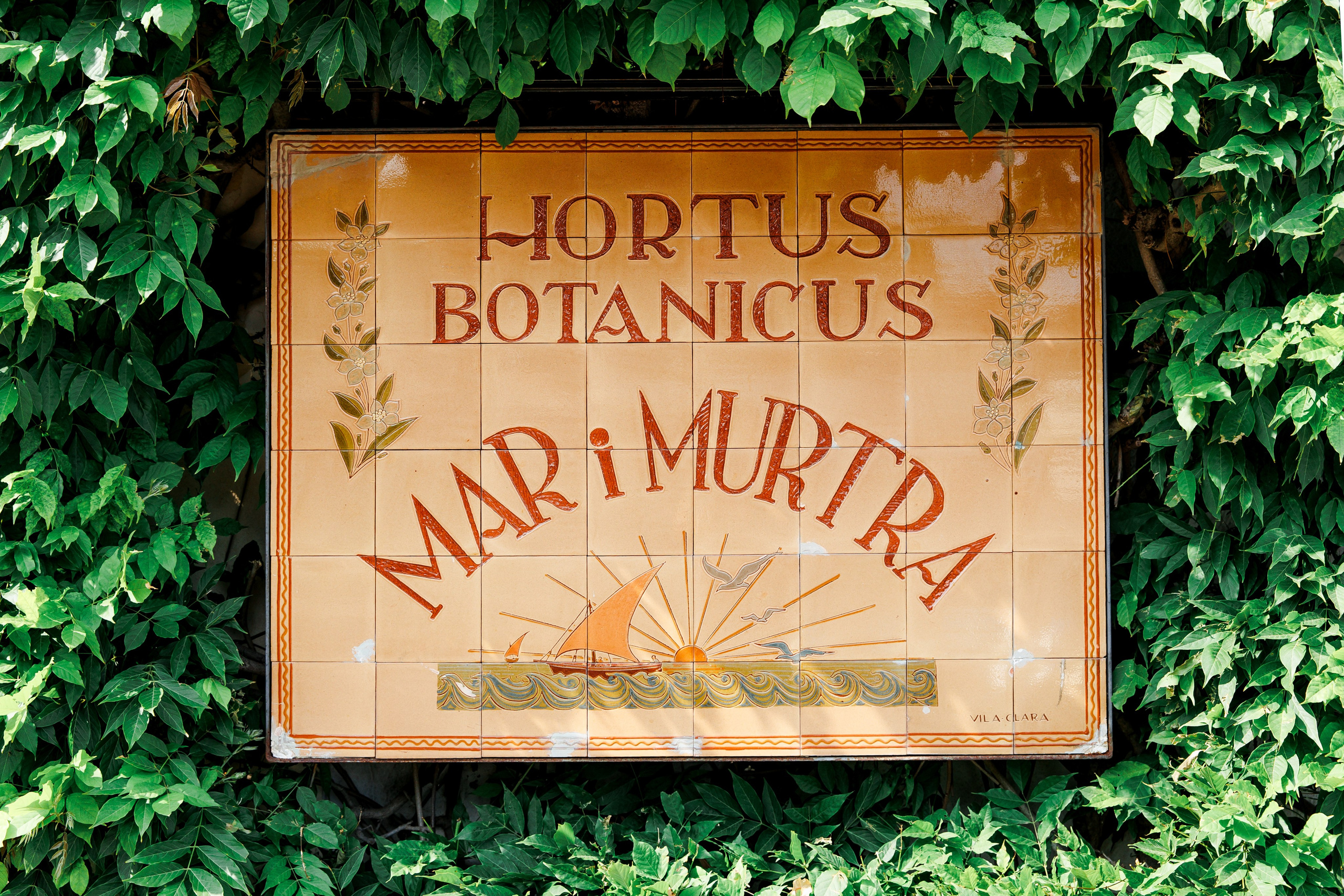 Wedding in Costa Brava. Wedding Photographer in Barcelona Lana Alekhina