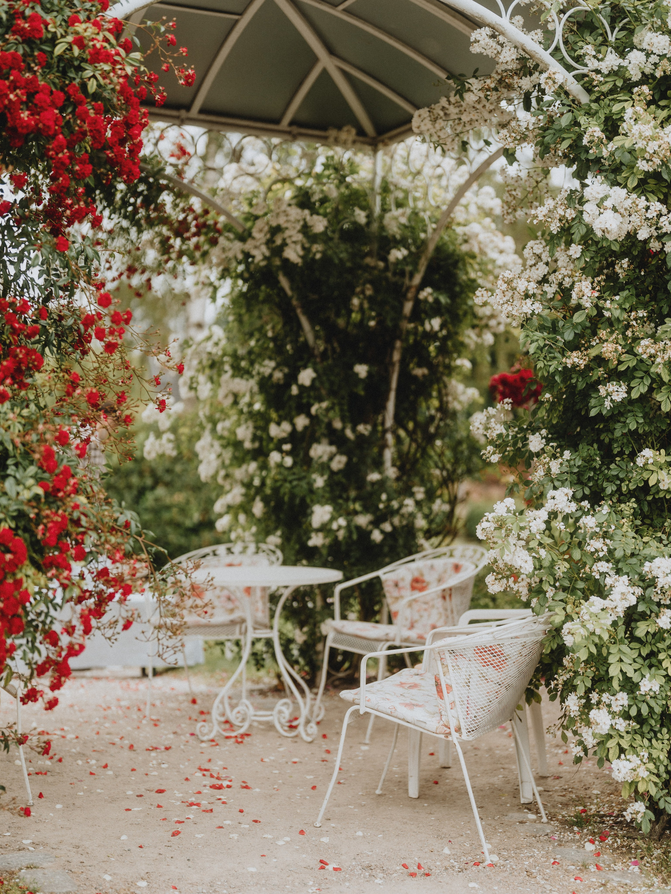 Wedding Photography - Augenblicke Des Lebens