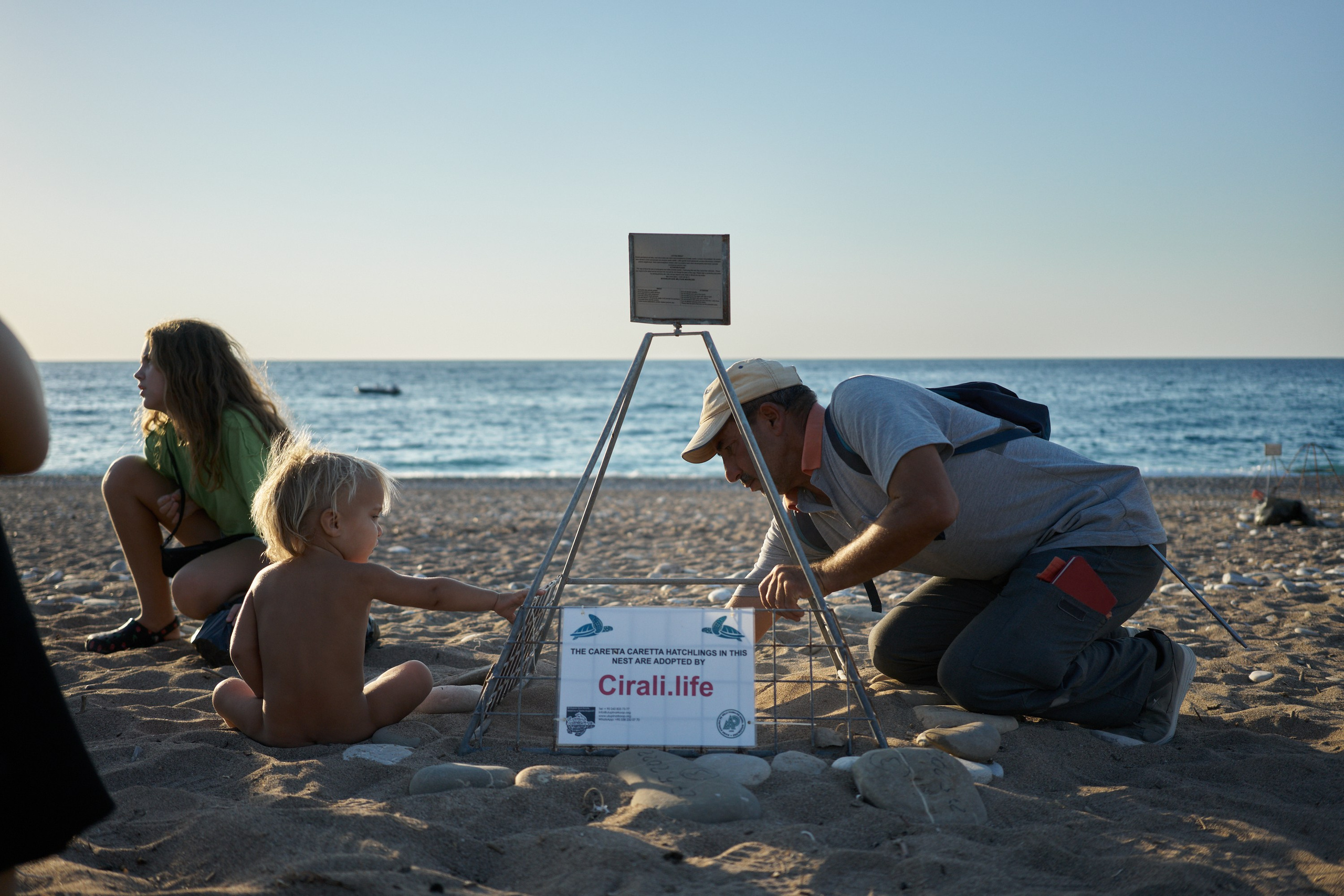 Caretta caretta | Anastasiia Nelen photographer