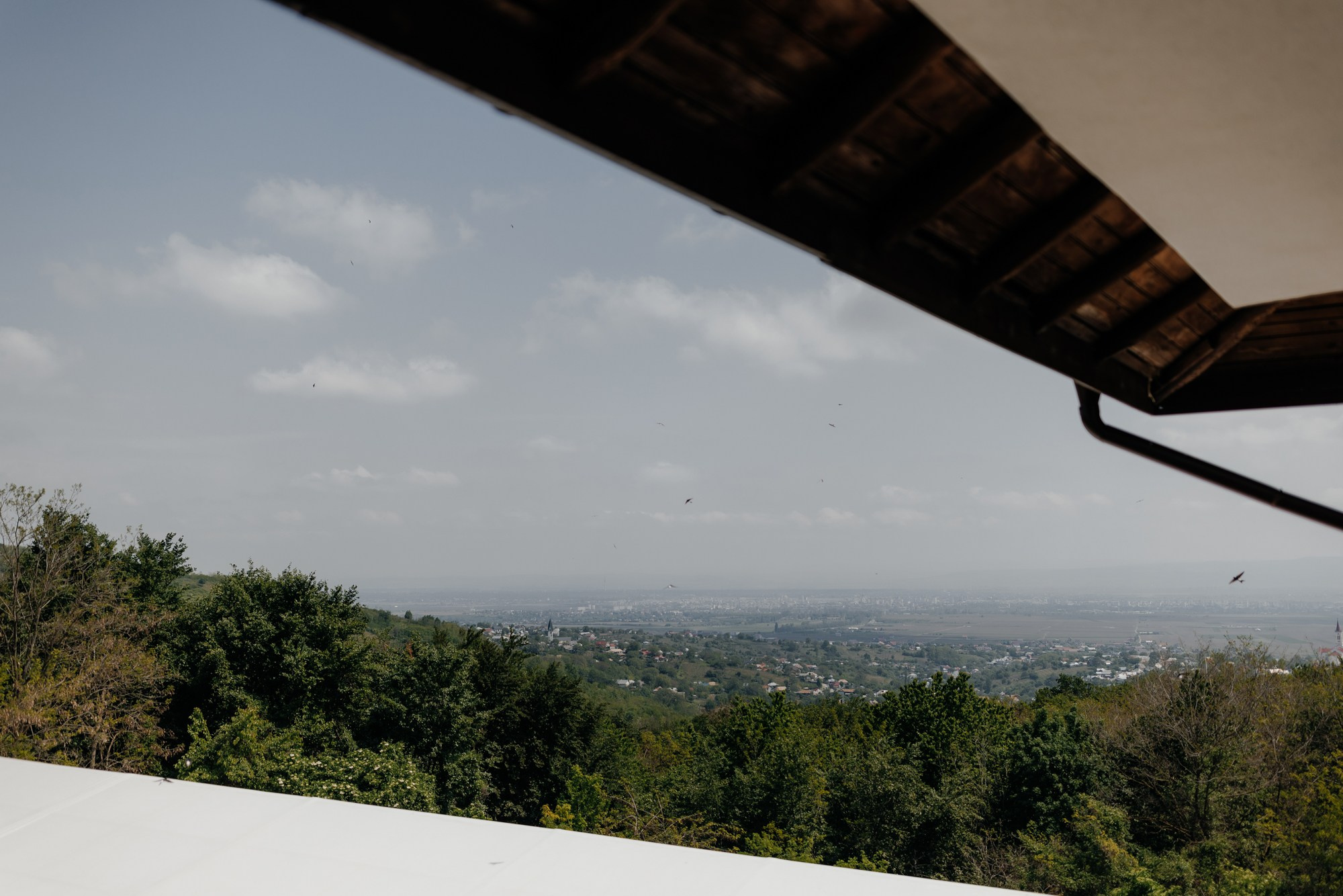 Andrei si Adelina. Wedding photographer and videographer