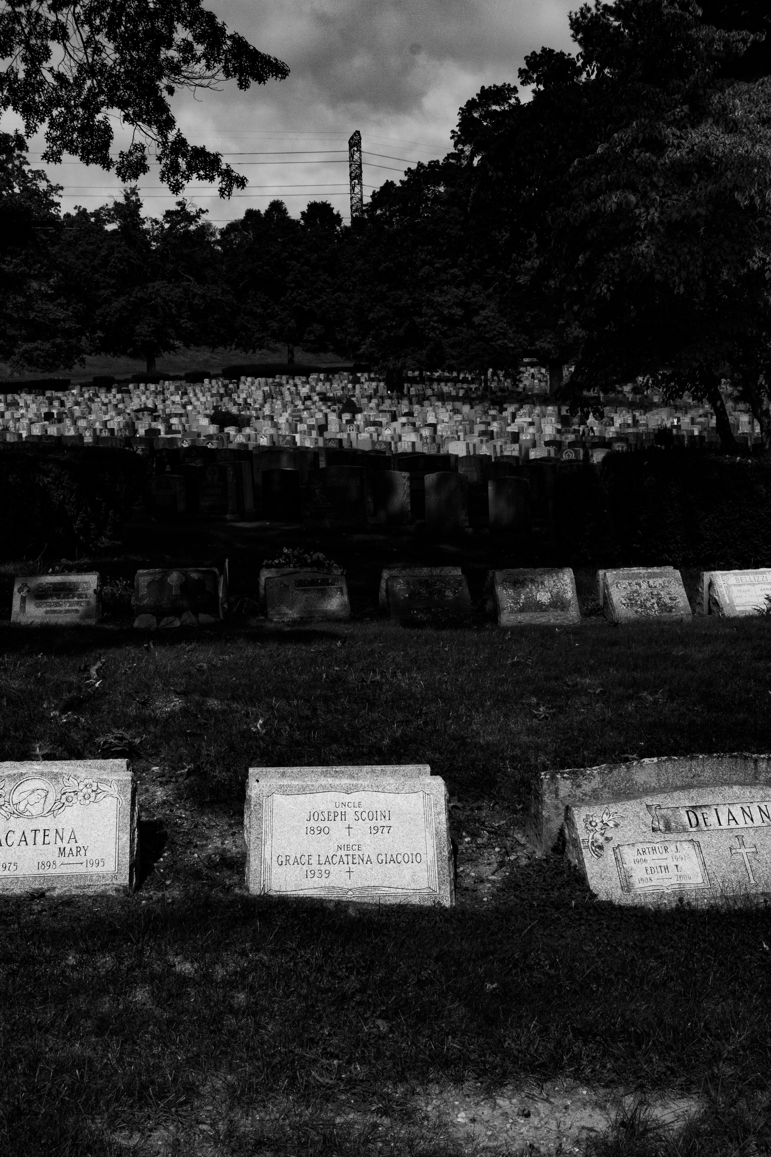 Angle got wings. Tatiana Kireicheva