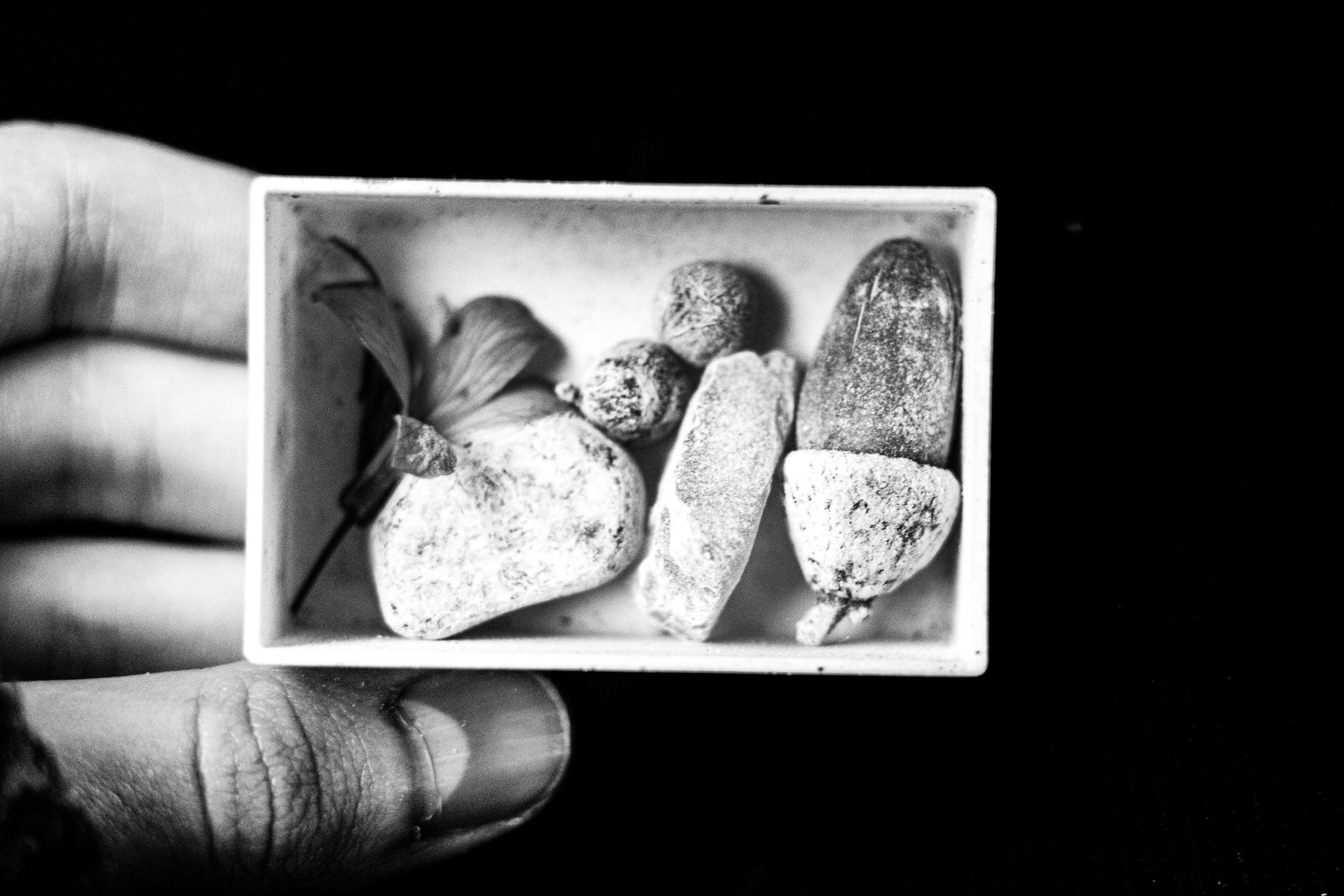 Angle got wings. Tatiana Kireicheva